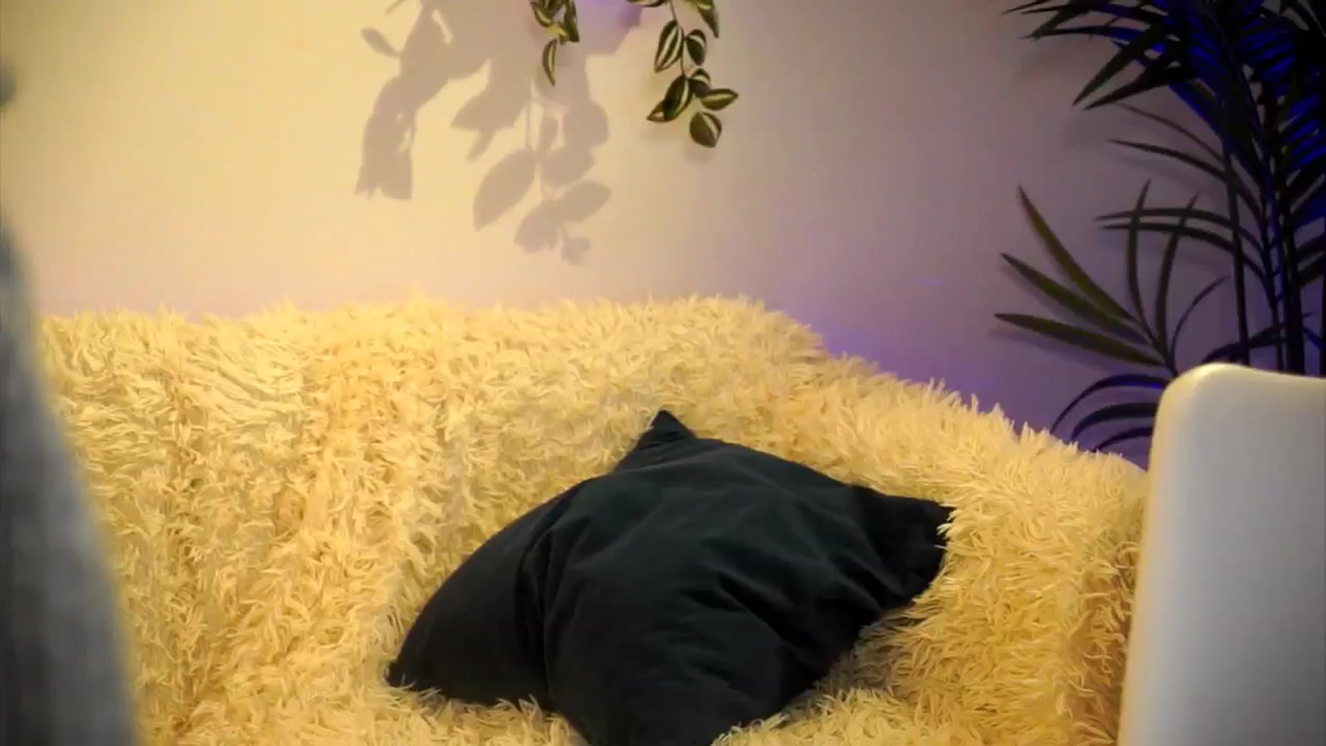 Gallery image thumbnail from petitegonwild's myfreecams stream on, 04/04/2025, 20:27 image 1 of 20