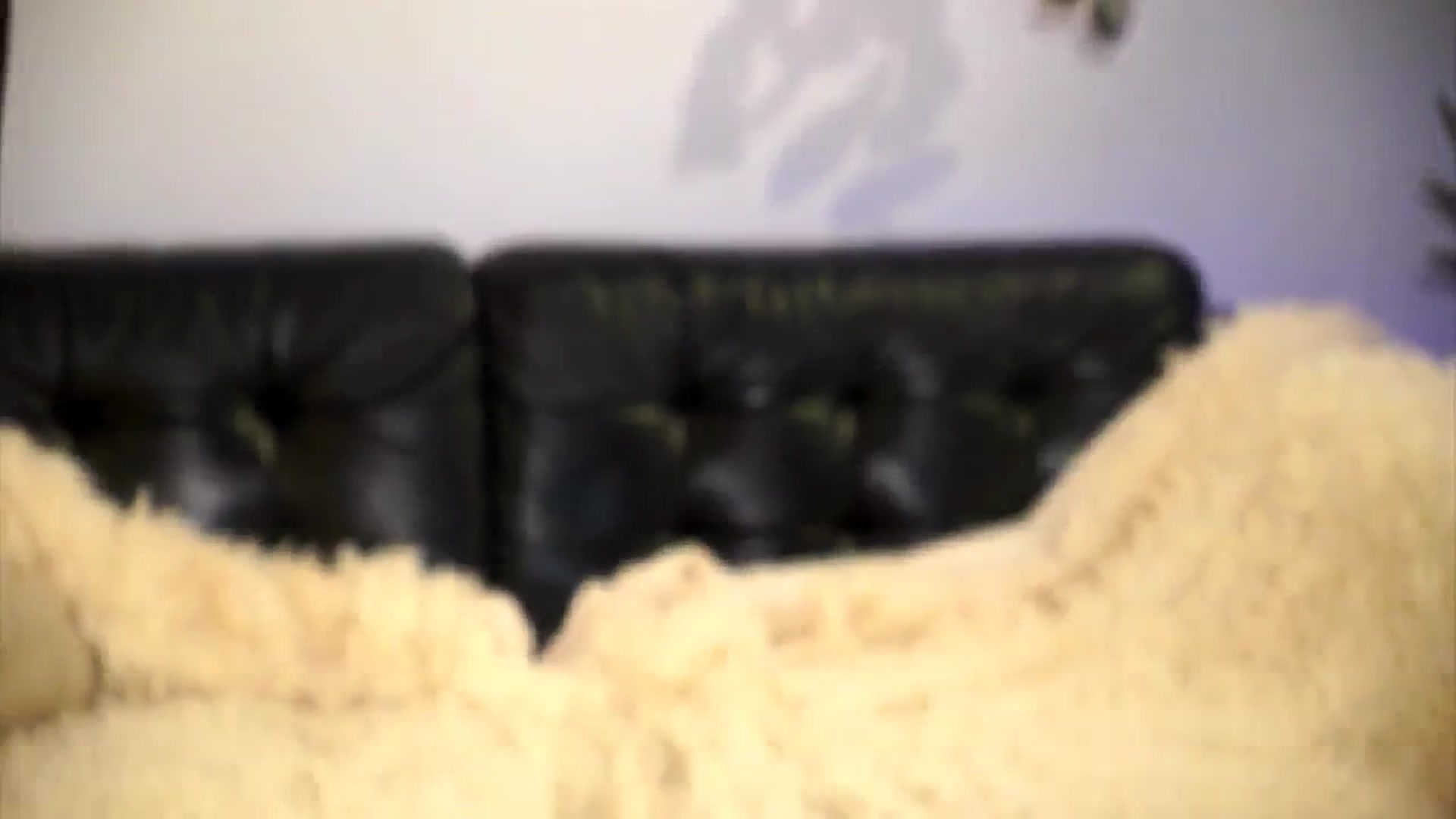 Gallery image thumbnail from petitegonwild's myfreecams stream on, 04/28/2025, 21:27 image 10 of 20