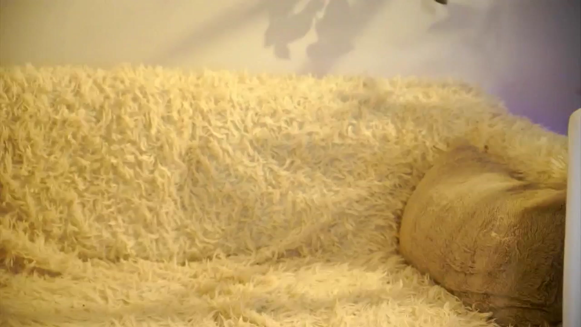 Gallery image thumbnail from petitegonwild's myfreecams stream on, 05/27/2025, 19:07 image 4 of 20
