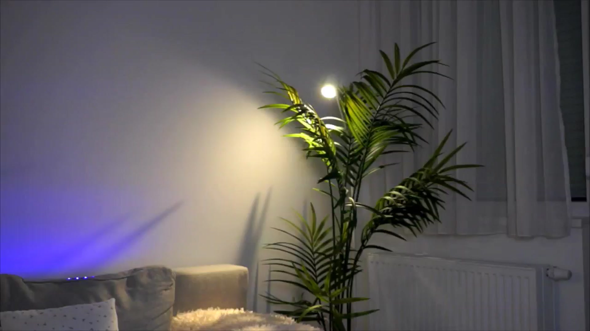 Gallery image thumbnail from petitegonwild's myfreecams stream on, 08/03/2025, 20:30 image 1 of 20