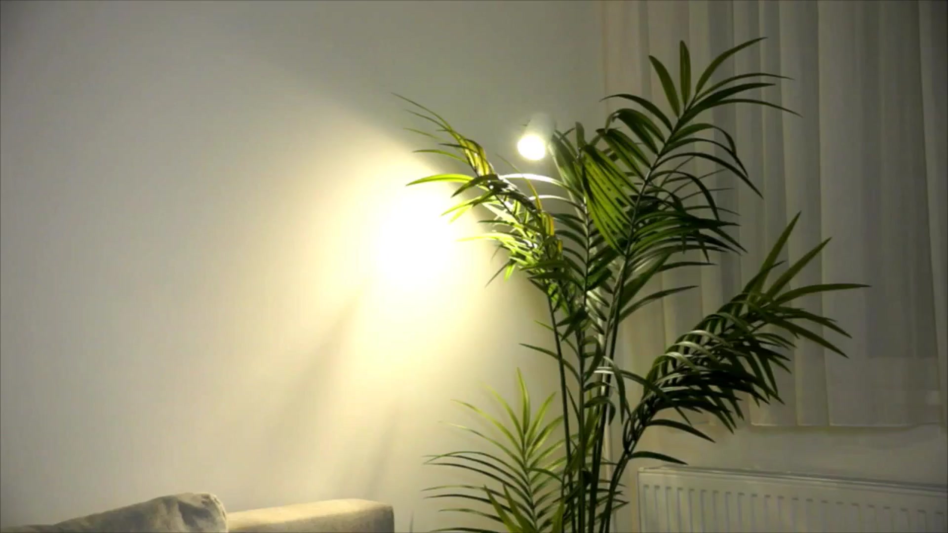 Gallery image thumbnail from petitegonwild's myfreecams stream on, 09/14/2025, 19:31 image 7 of 20