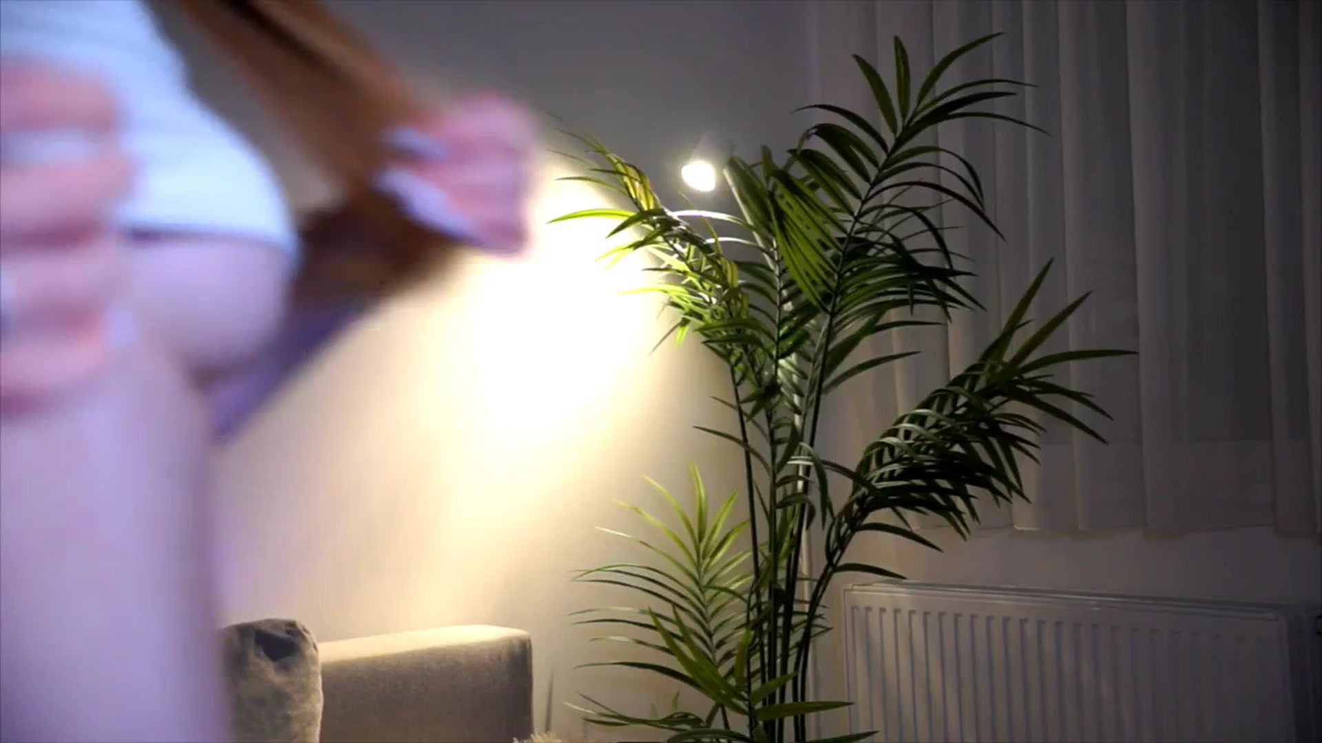 Gallery image thumbnail from petitegonwild's myfreecams stream on, 09/16/2025, 21:51 image 4 of 20