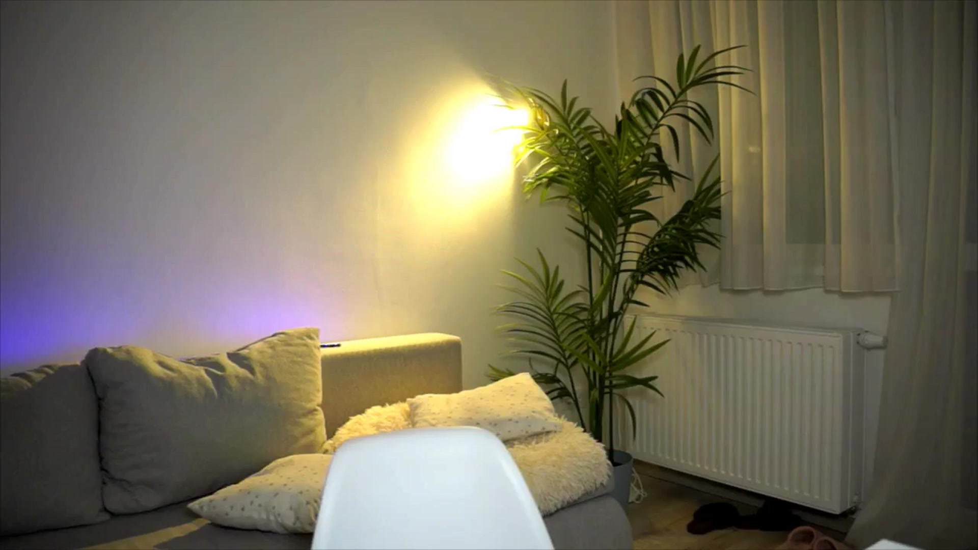 Gallery image thumbnail from petitegonwild's myfreecams stream on, 04/16/2026, 20:08 image 14 of 20