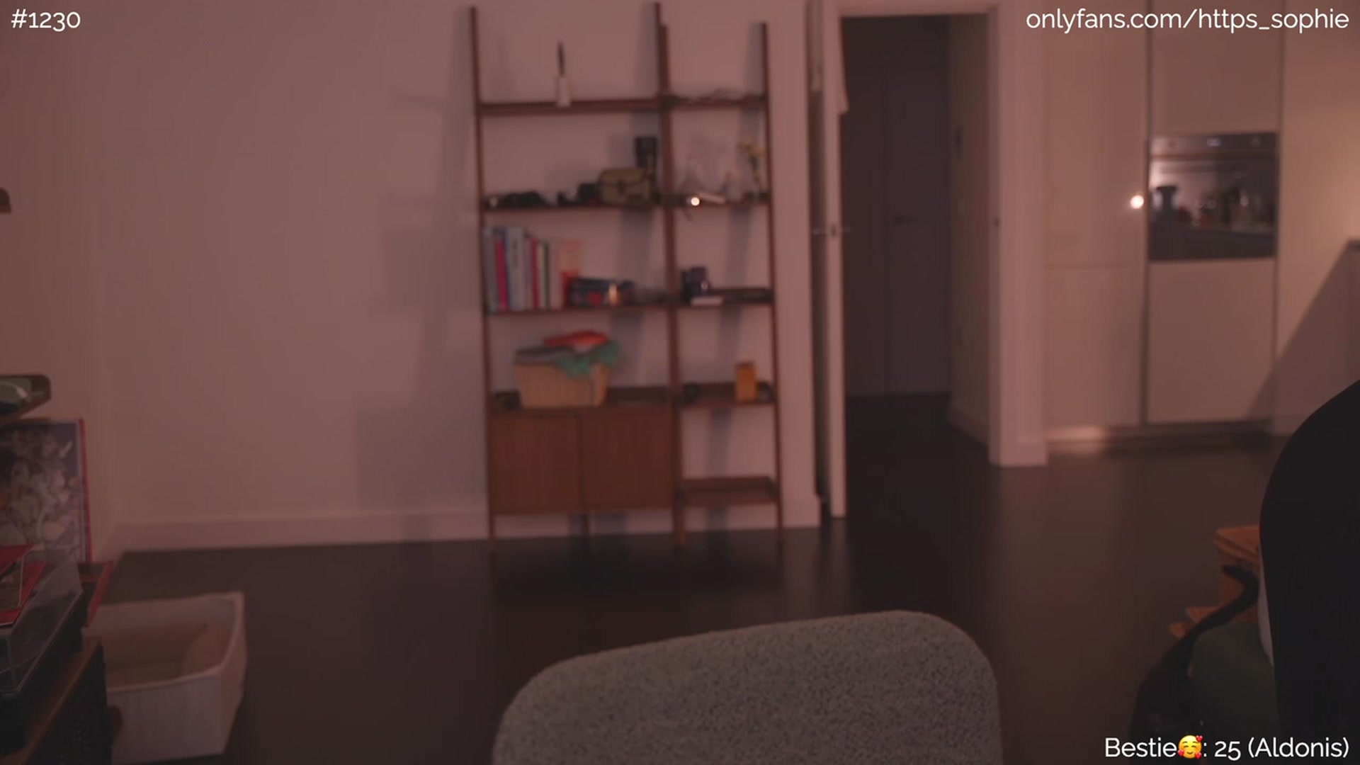 Gallery image thumbnail from phyllo_sophie's myfreecams stream on, 06/29/2023, 24:05 image 9 of 20