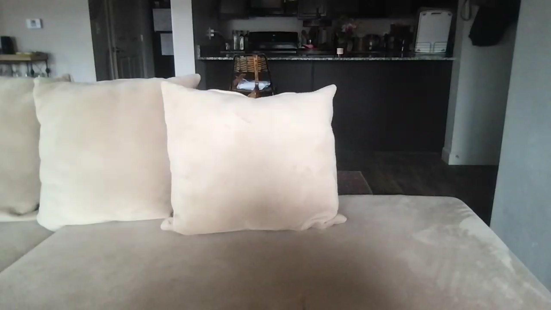 Gallery image thumbnail from pineappsauce's myfreecams stream on, 04/18/2023, 19:52 image 16 of 20