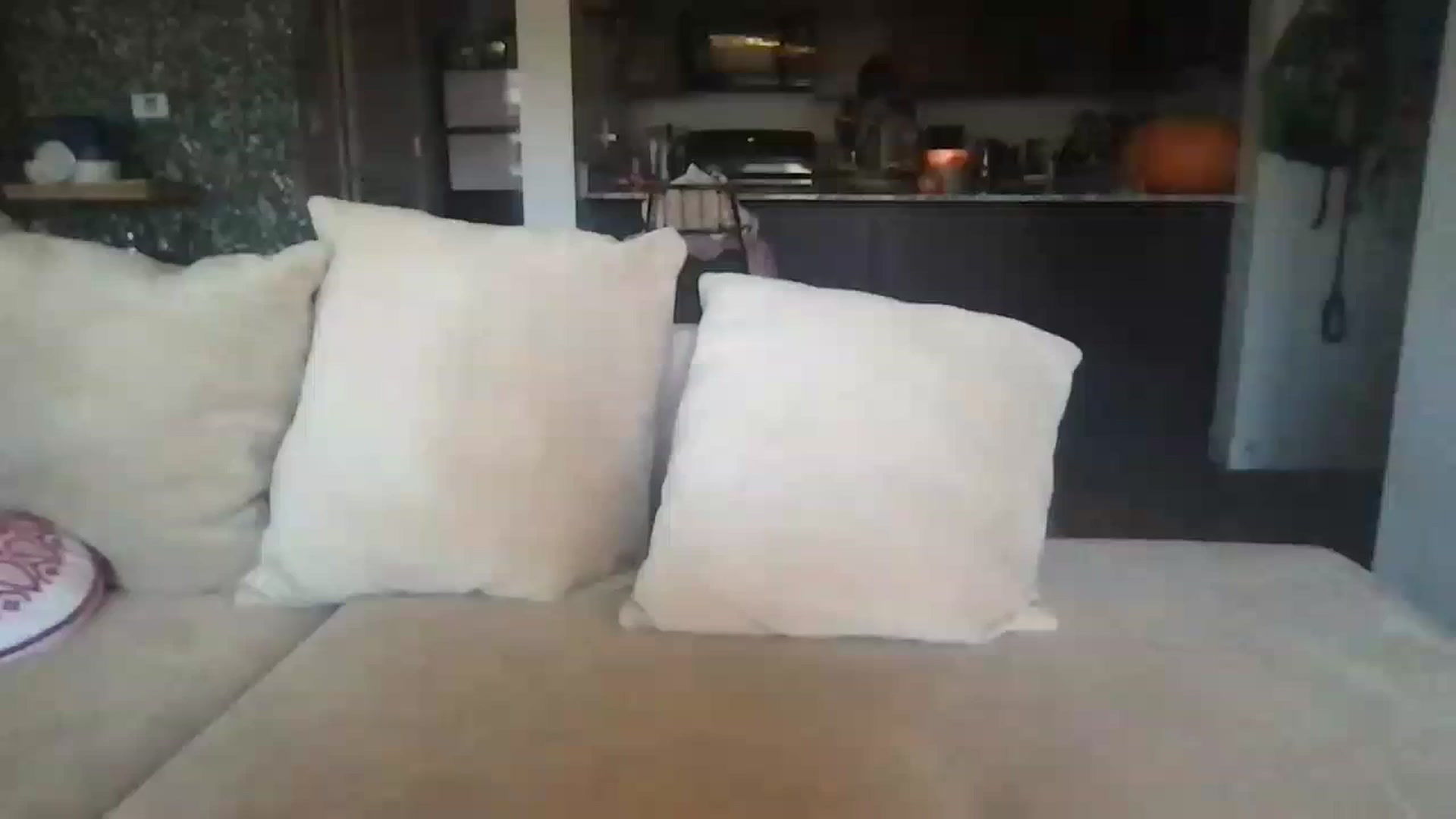 Gallery image thumbnail from pineappsauce's myfreecams stream on, 10/18/2023, 19:03 image 5 of 20
