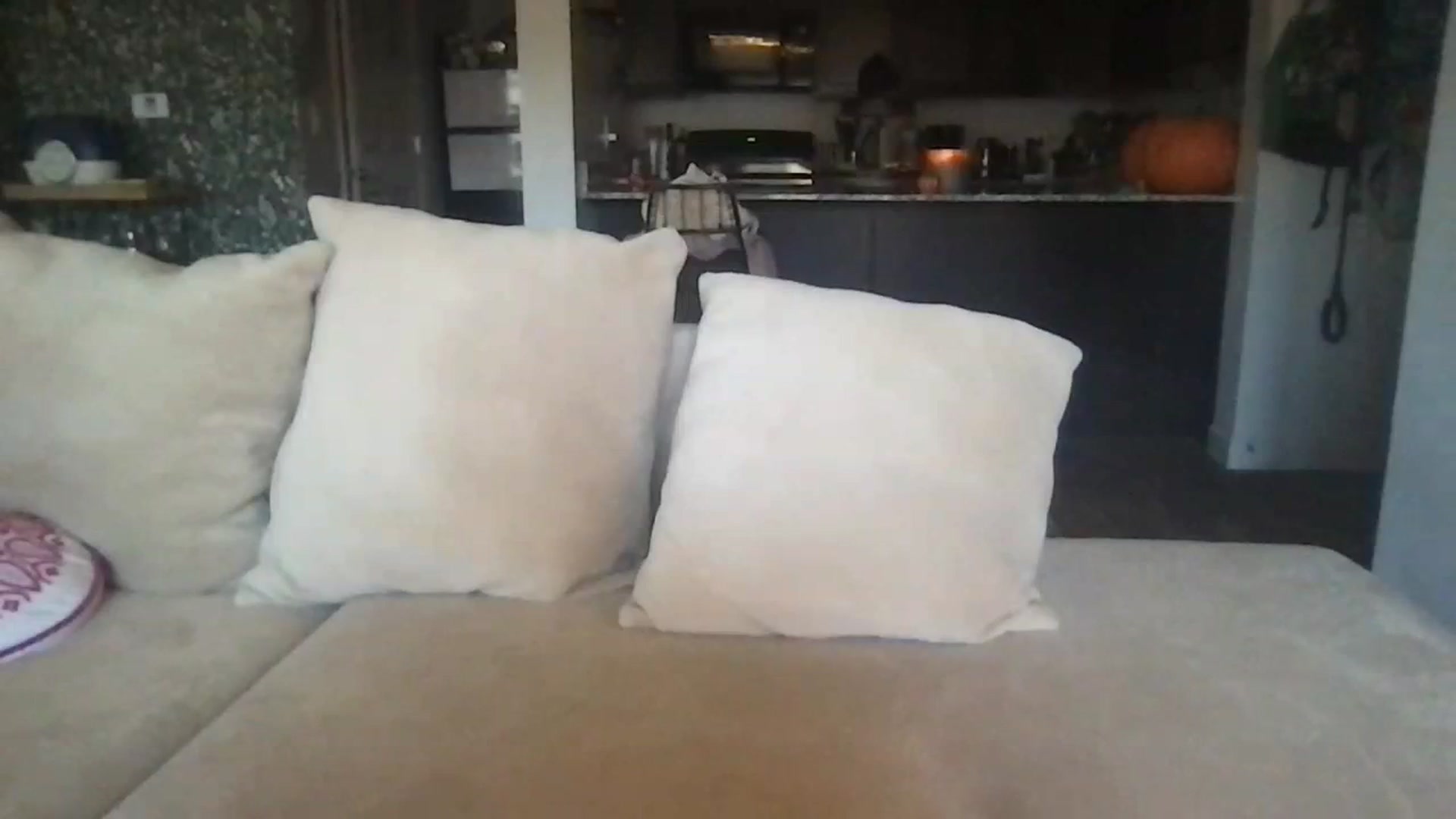 Gallery image thumbnail from pineappsauce's myfreecams stream on, 10/18/2023, 19:03 image 4 of 20