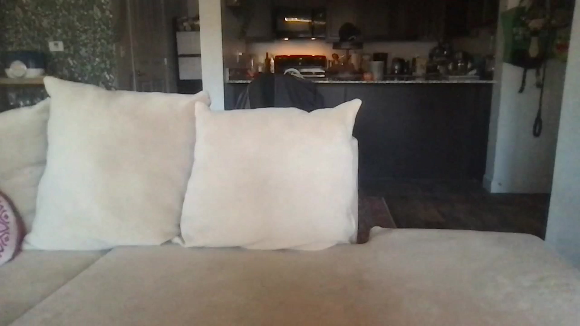 Gallery image thumbnail from pineappsauce's myfreecams stream on, 10/30/2023, 20:16 image 20 of 20