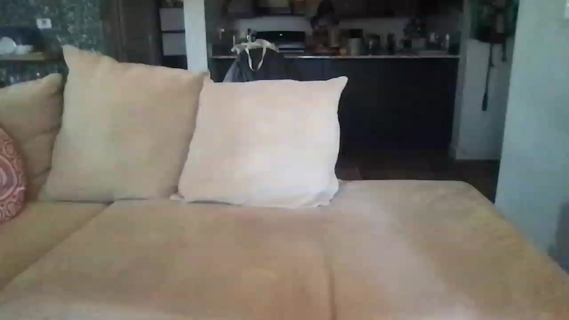 Gallery image thumbnail from pineappsauce's myfreecams stream on, 11/02/2023, 20:45 image 2 of 20