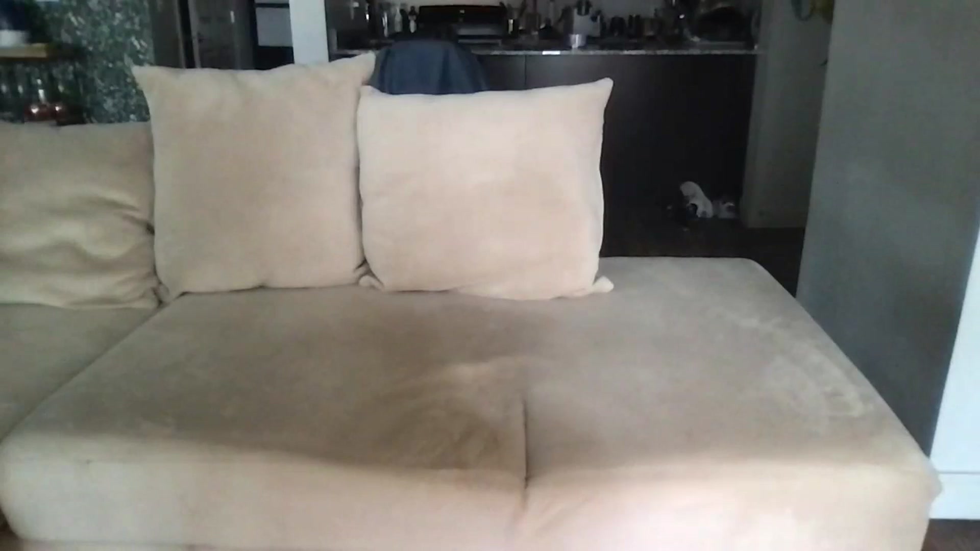 Gallery image thumbnail from pineappsauce's myfreecams stream on, 04/25/2024, 22:33 image 5 of 20
