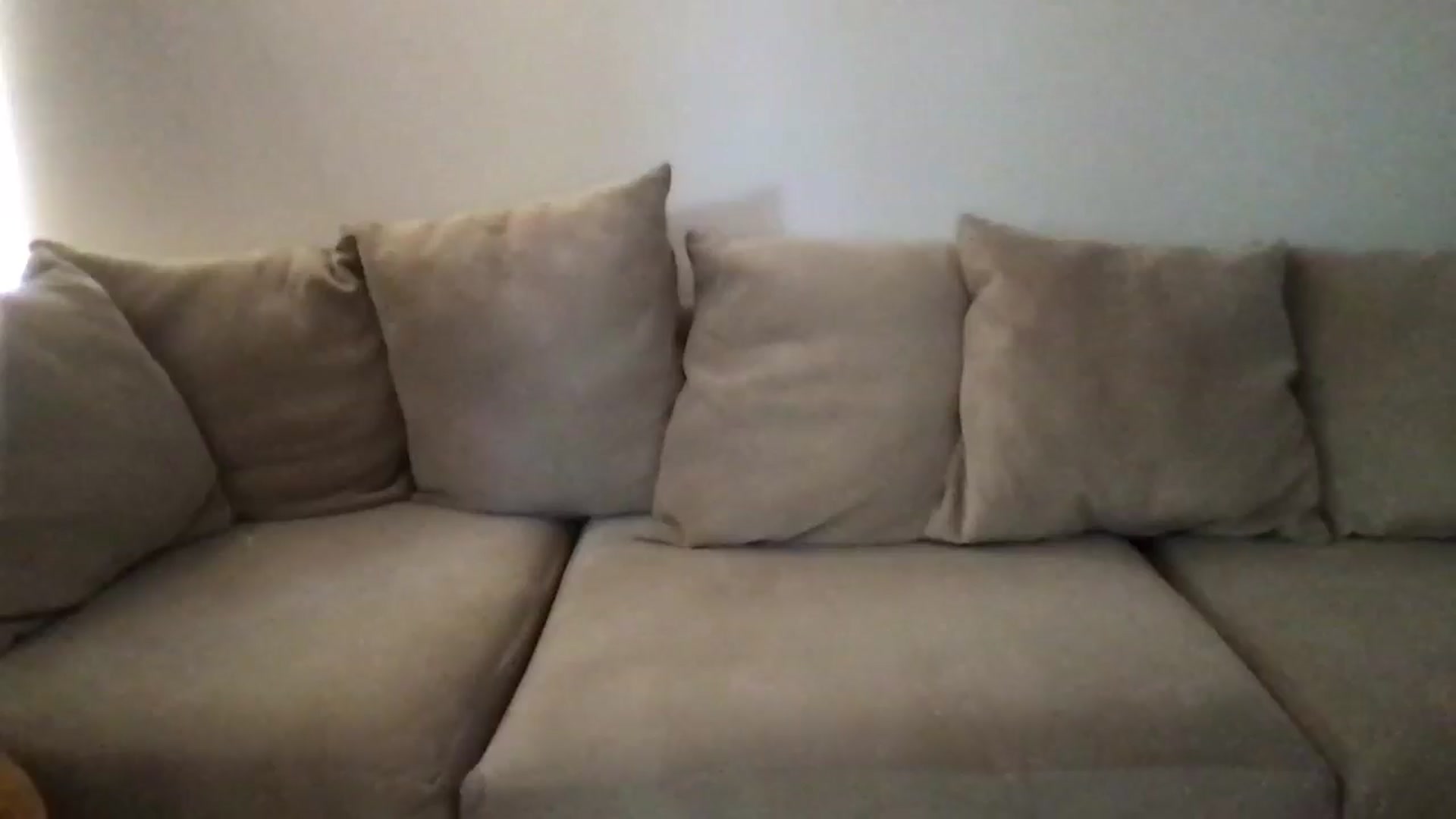 Gallery image thumbnail from pineappsauce's myfreecams stream on, 06/06/2024, 23:44 image 1 of 20