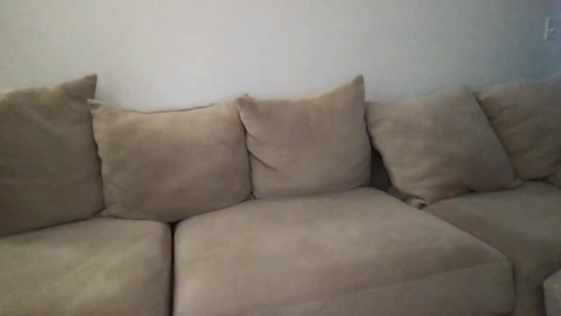 Gallery image thumbnail from pineappsauce's myfreecams stream on, 11/11/2024, 21:15 image 4 of 20