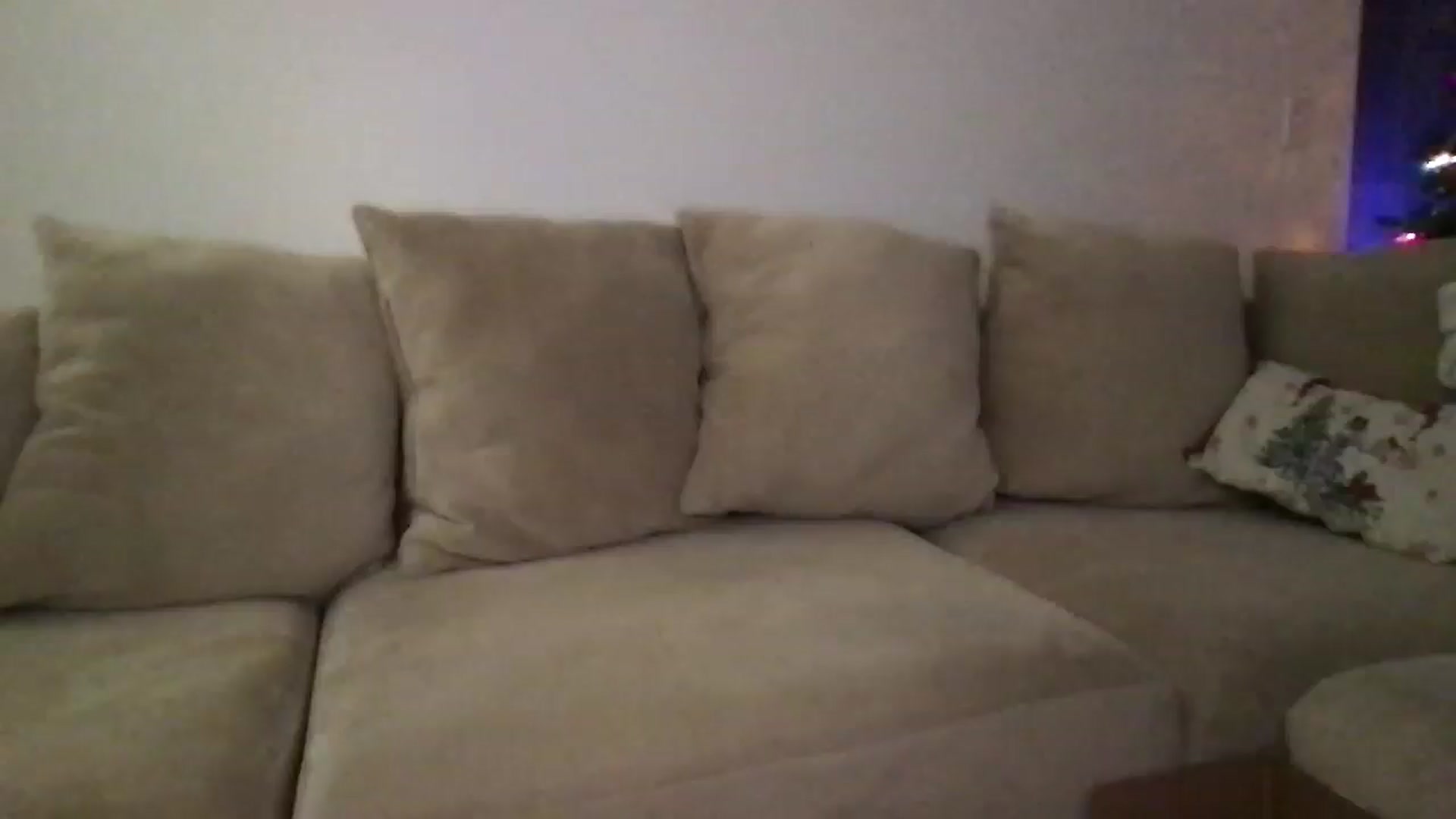 Gallery image thumbnail from pineappsauce's myfreecams stream on, 12/17/2024, 02:51 image 11 of 20