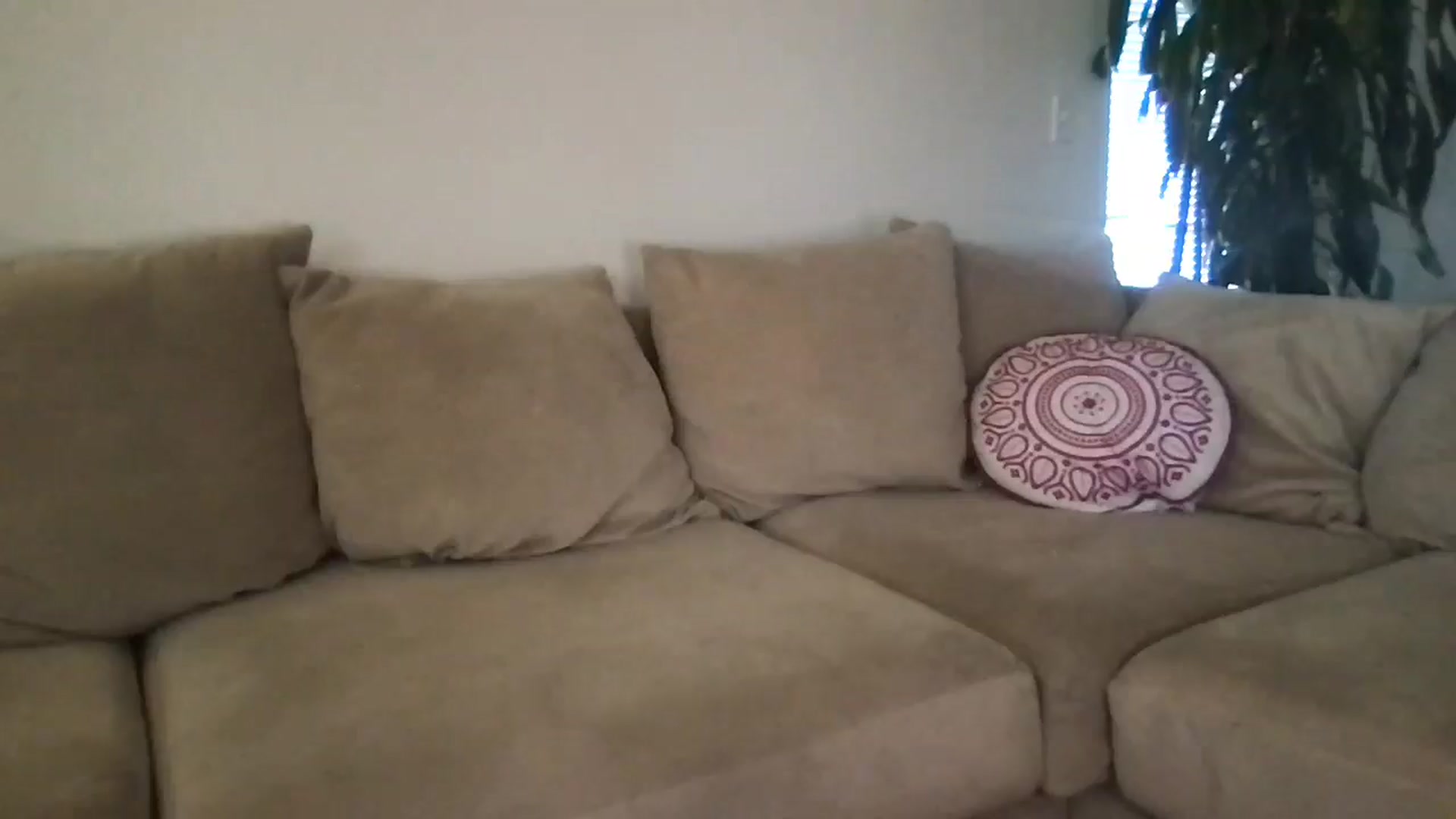 Gallery image thumbnail from pineappsauce's myfreecams stream on, 03/12/2025, 19:57 image 5 of 20