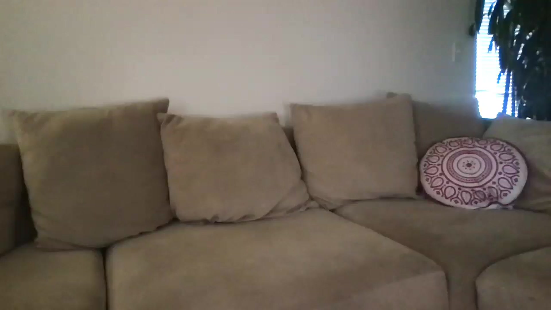 Gallery image thumbnail from pineappsauce's myfreecams stream on, 03/12/2025, 19:57 image 14 of 20