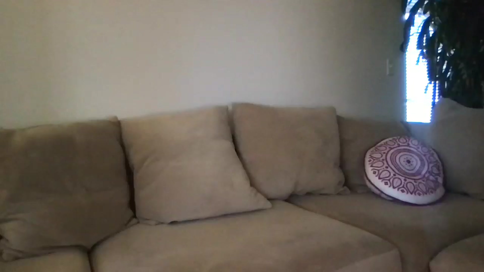 Gallery image thumbnail from pineappsauce's myfreecams stream on, 03/25/2025, 21:57 image 1 of 20