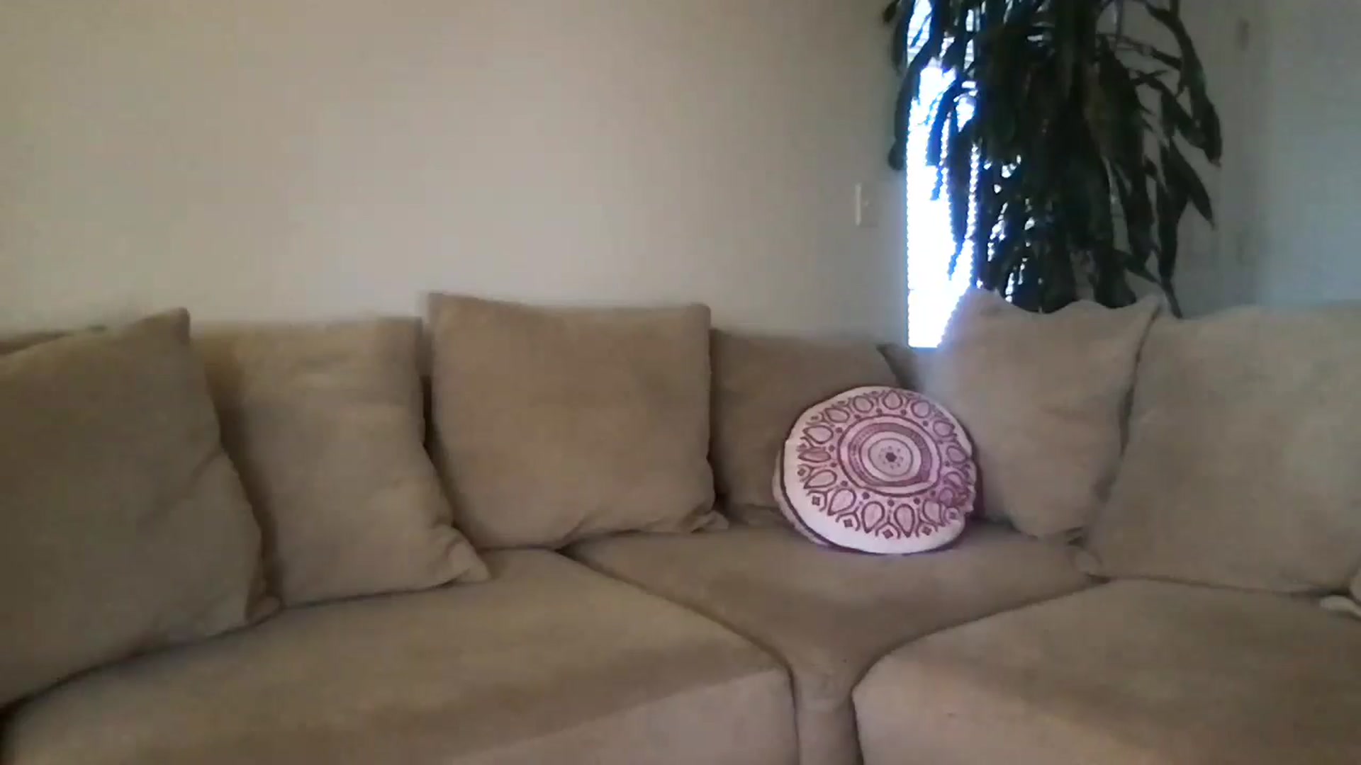 Gallery image thumbnail from pineappsauce's myfreecams stream on, 03/26/2025, 20:32 image 5 of 20