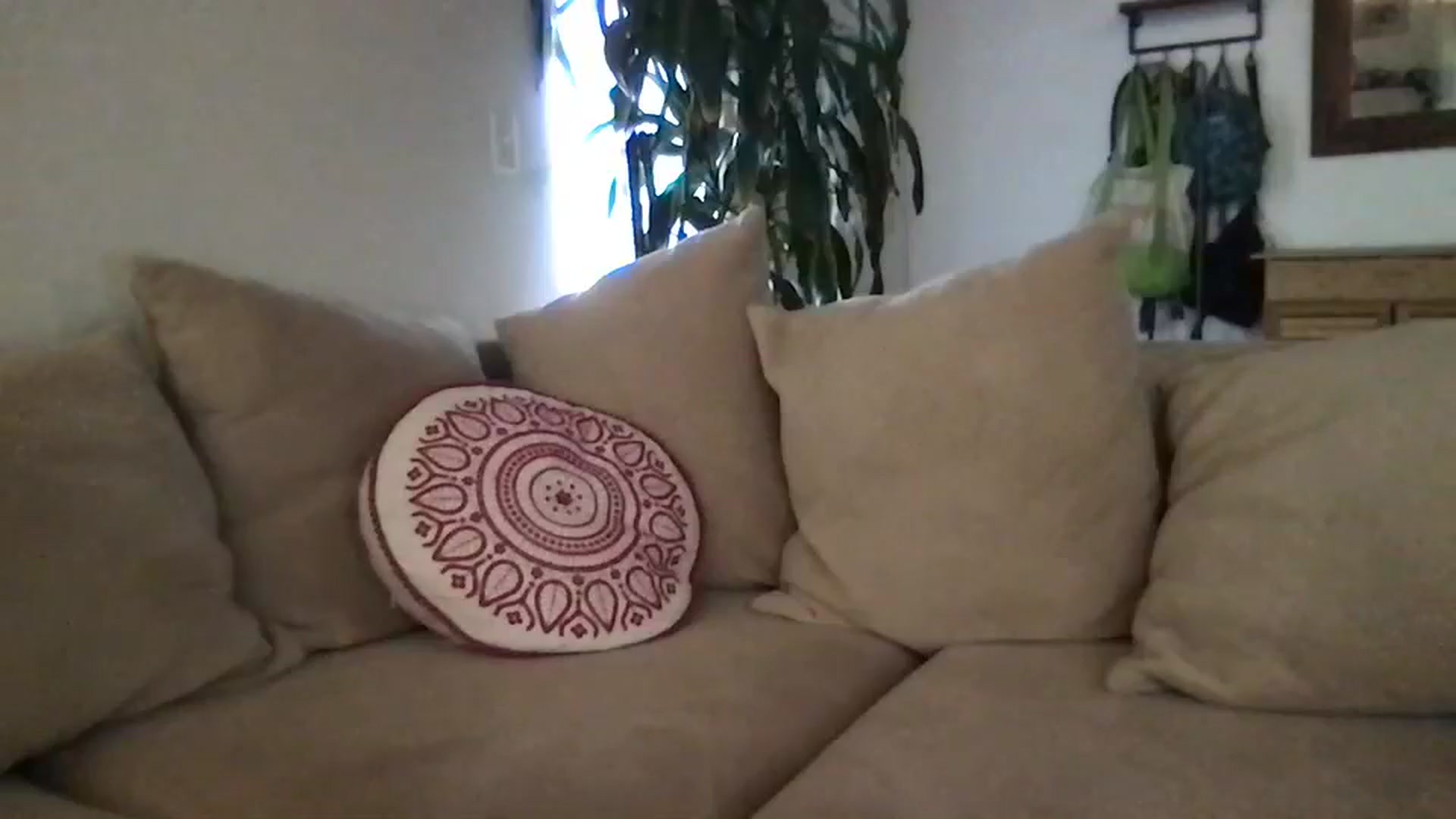 Gallery image thumbnail from pineappsauce's myfreecams stream on, 08/15/2025, 22:44 image 17 of 20