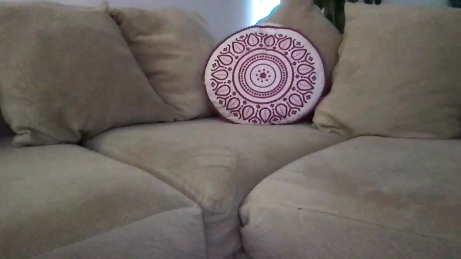Gallery image thumbnail from pineappsauce's myfreecams stream on, 09/03/2025, 23:28 image 11 of 20