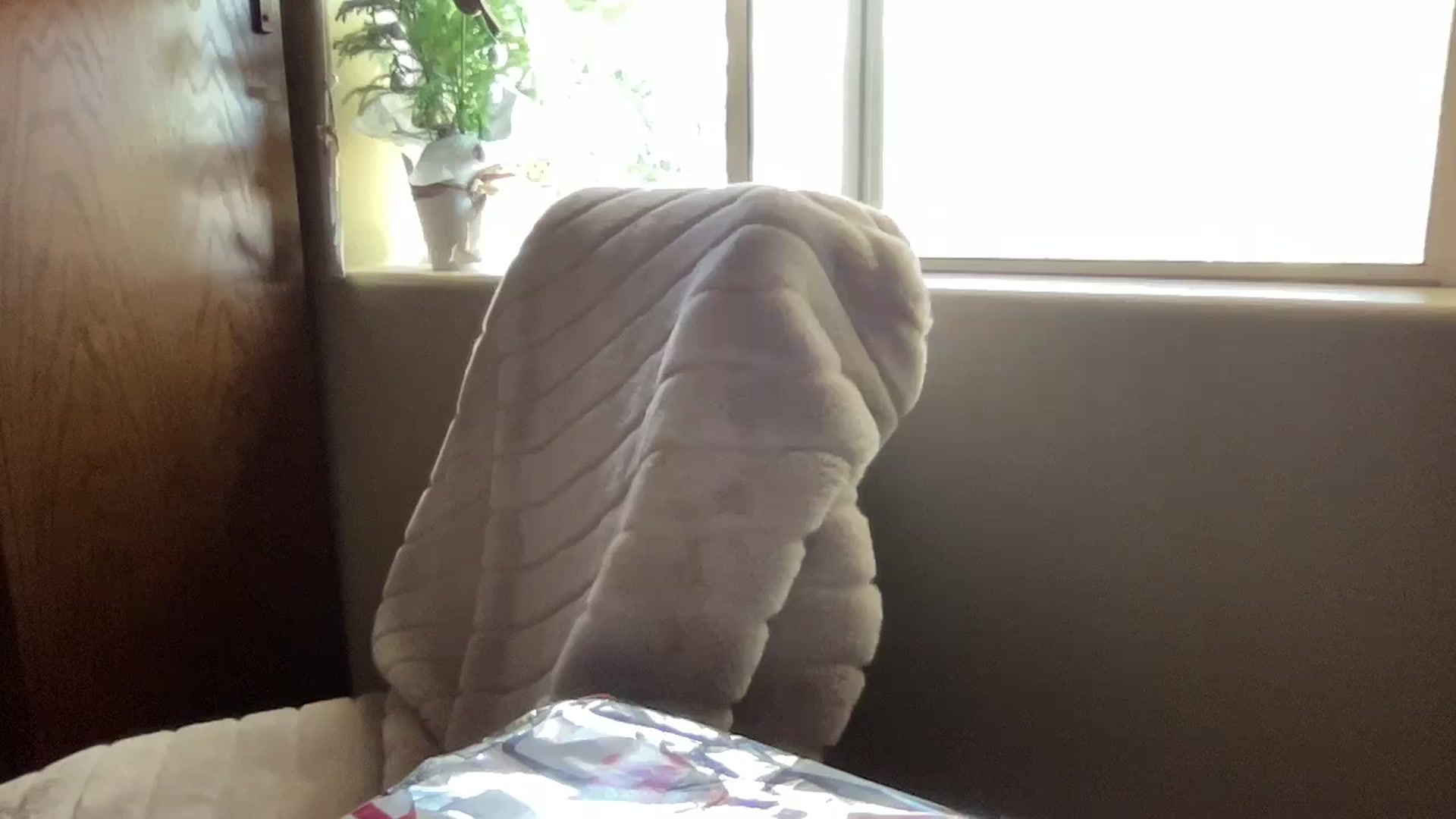 Gallery image thumbnail from pinkittyplay's myfreecams stream on, 12/25/2023, 18:47 image 7 of 20