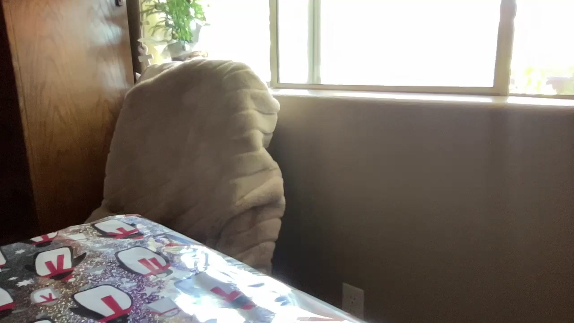 Gallery image thumbnail from pinkittyplay's myfreecams stream on, 12/25/2023, 20:07 image 1 of 20