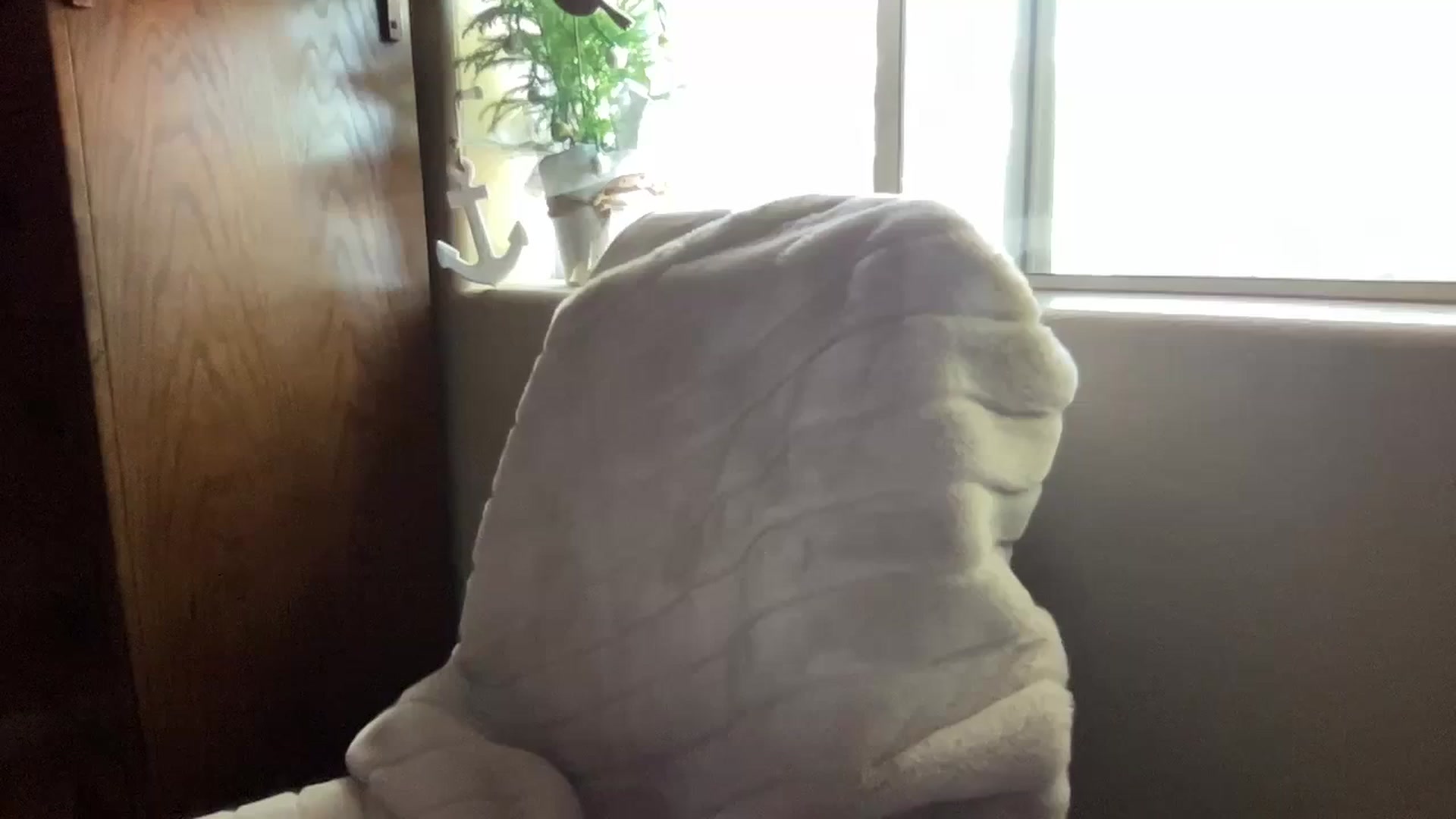 Gallery image thumbnail from pinkittyplay's myfreecams stream on, 12/25/2023, 20:07 image 5 of 20
