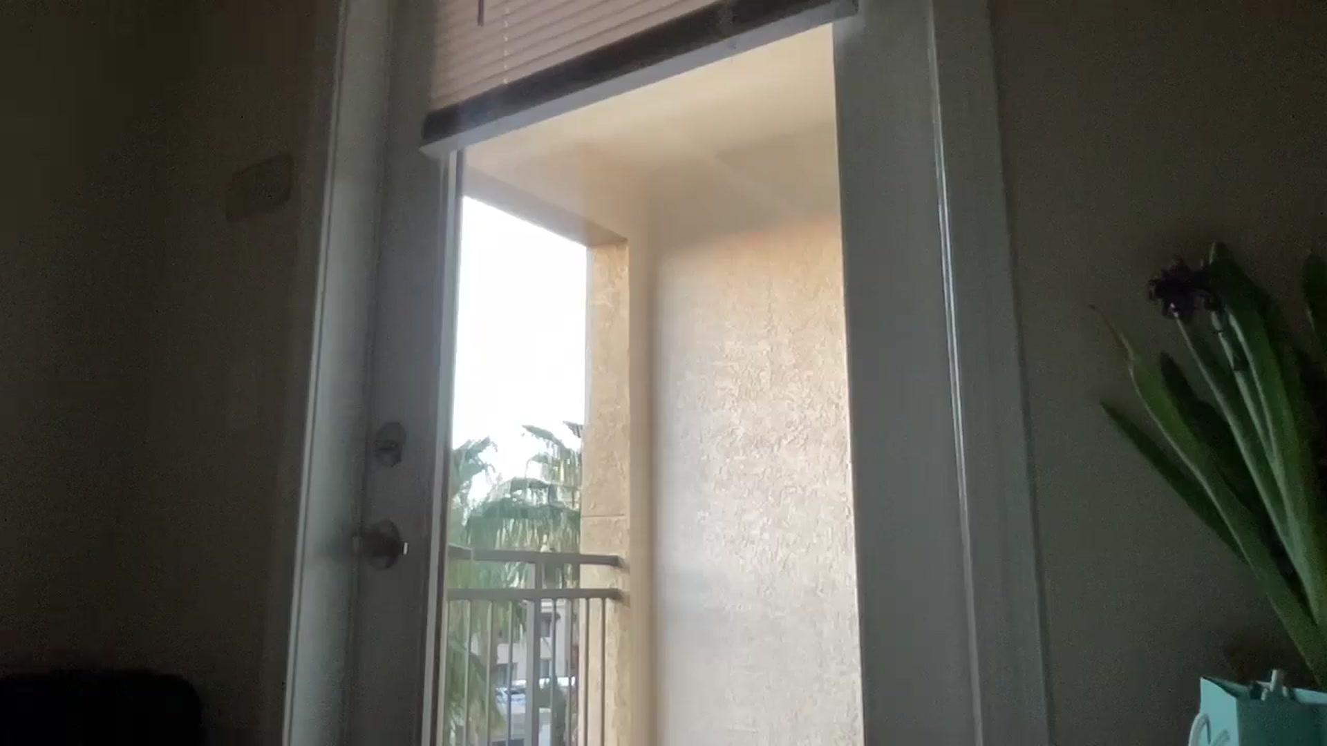 Gallery image thumbnail from pinkittyplay's myfreecams stream on, 05/02/2024, 12:53 image 19 of 20