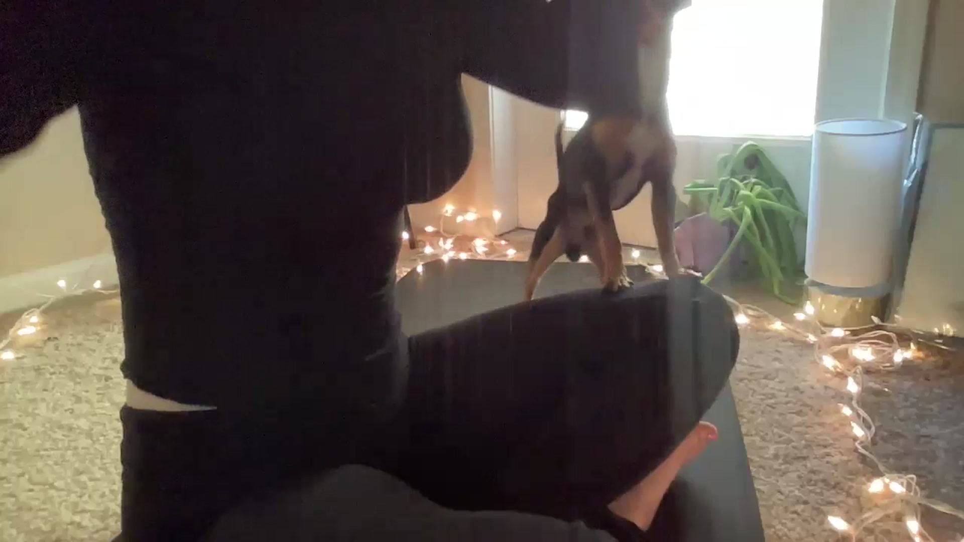 Gallery image thumbnail from pinkittyplay's myfreecams stream on, 05/22/2024, 13:26 image 15 of 20