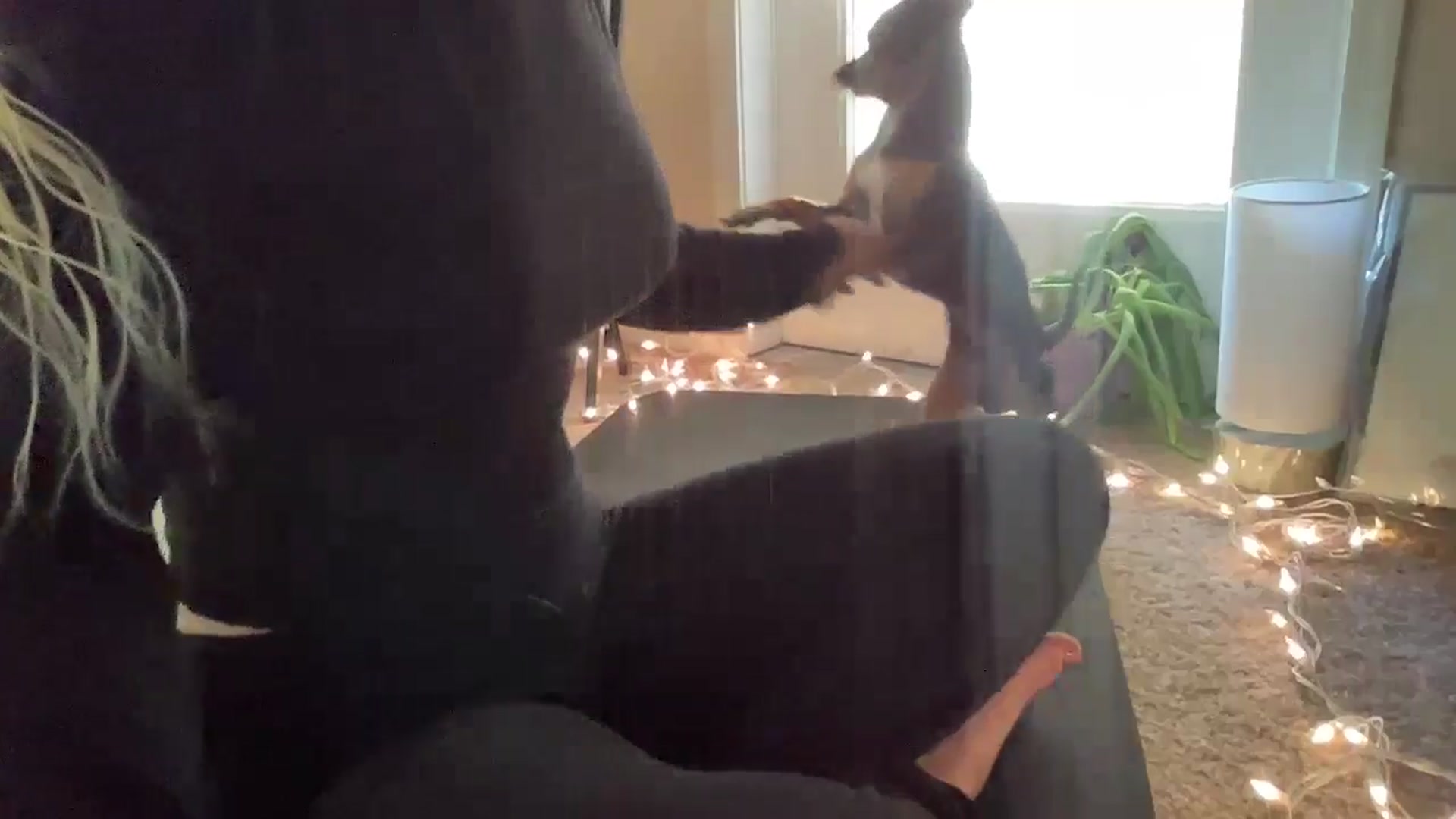 Gallery image thumbnail from pinkittyplay's myfreecams stream on, 05/22/2024, 13:26 image 16 of 20
