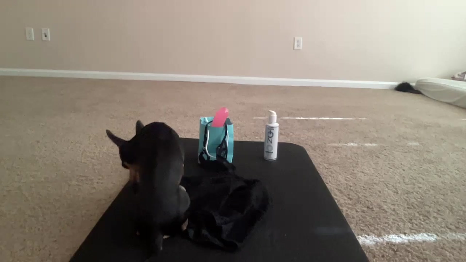Gallery image thumbnail from pinkittyplay's myfreecams stream on, 05/28/2024, 15:10 image 6 of 20