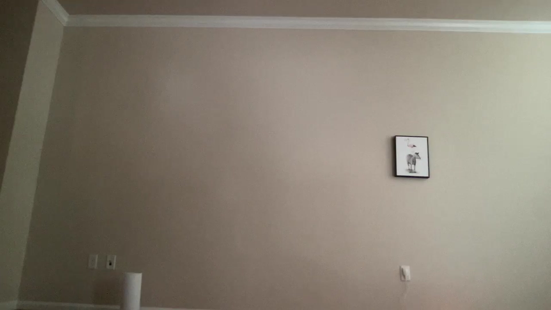Gallery image thumbnail from pinkittyplay's myfreecams stream on, 06/17/2024, 18:38 image 9 of 20