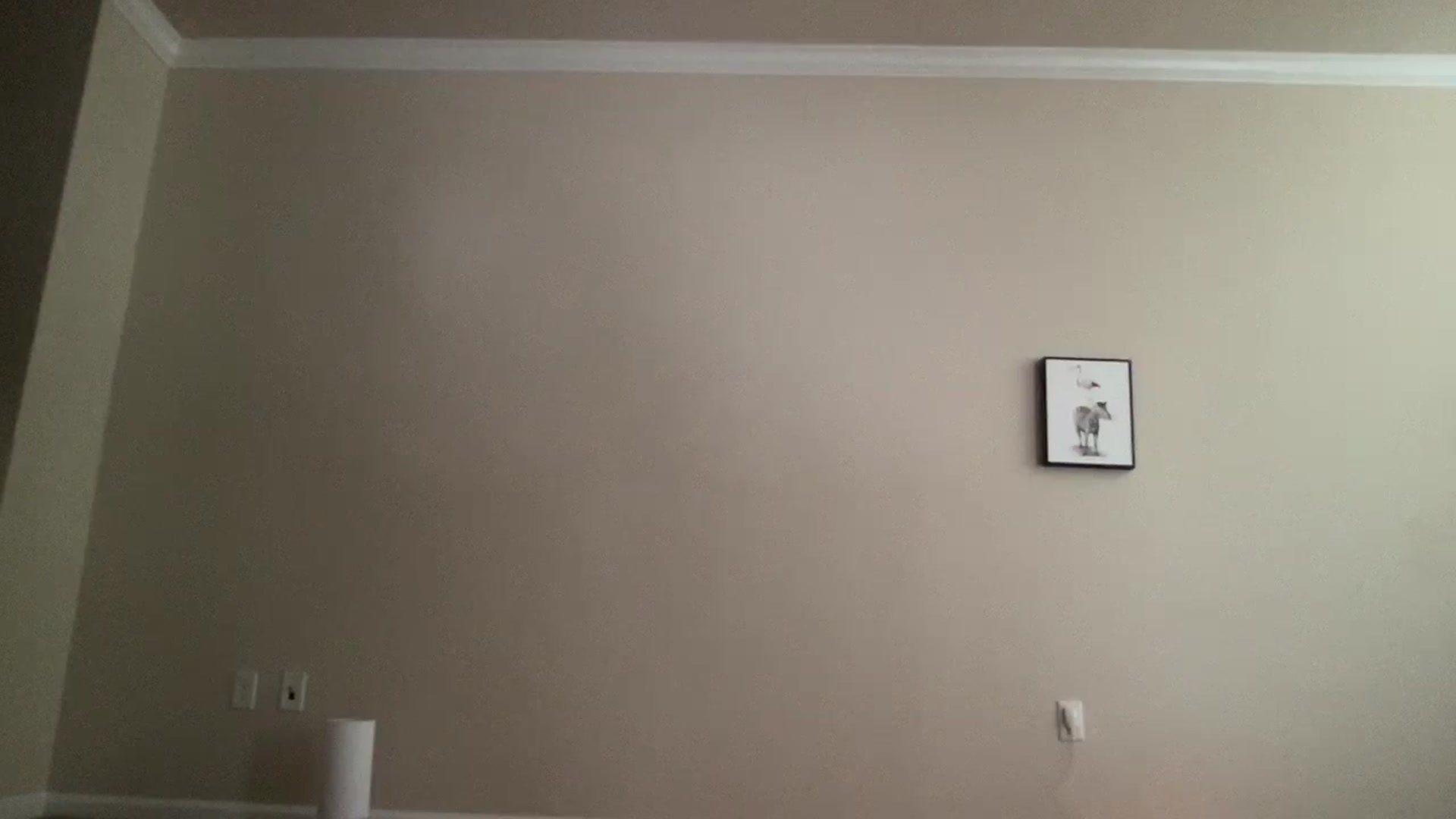Gallery image thumbnail from pinkittyplay's myfreecams stream on, 06/17/2024, 18:38 image 6 of 20