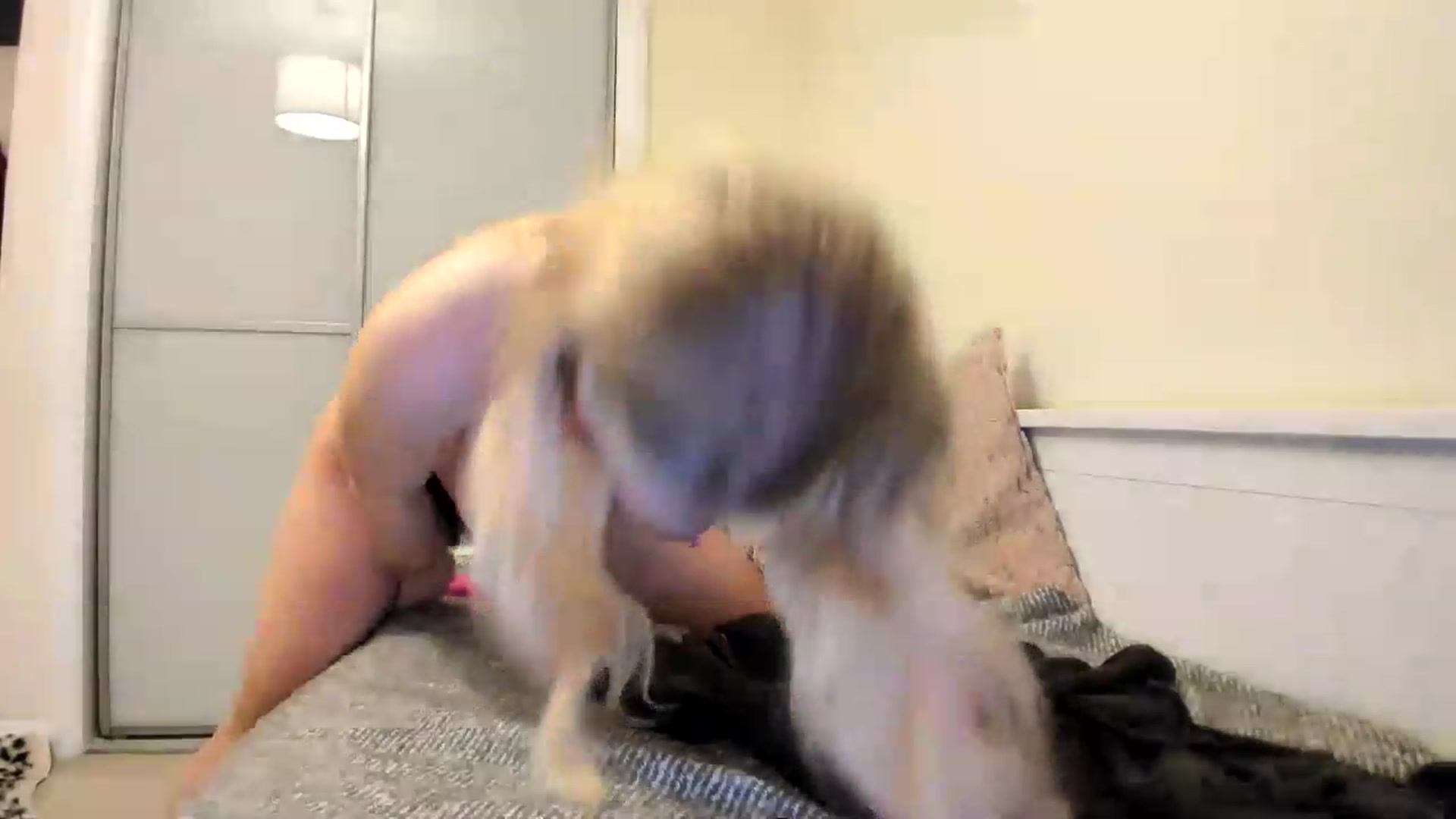 Gallery image thumbnail from pixelatedgirl's myfreecams stream on, 07/15/2026, 22:03 image 13 of 20