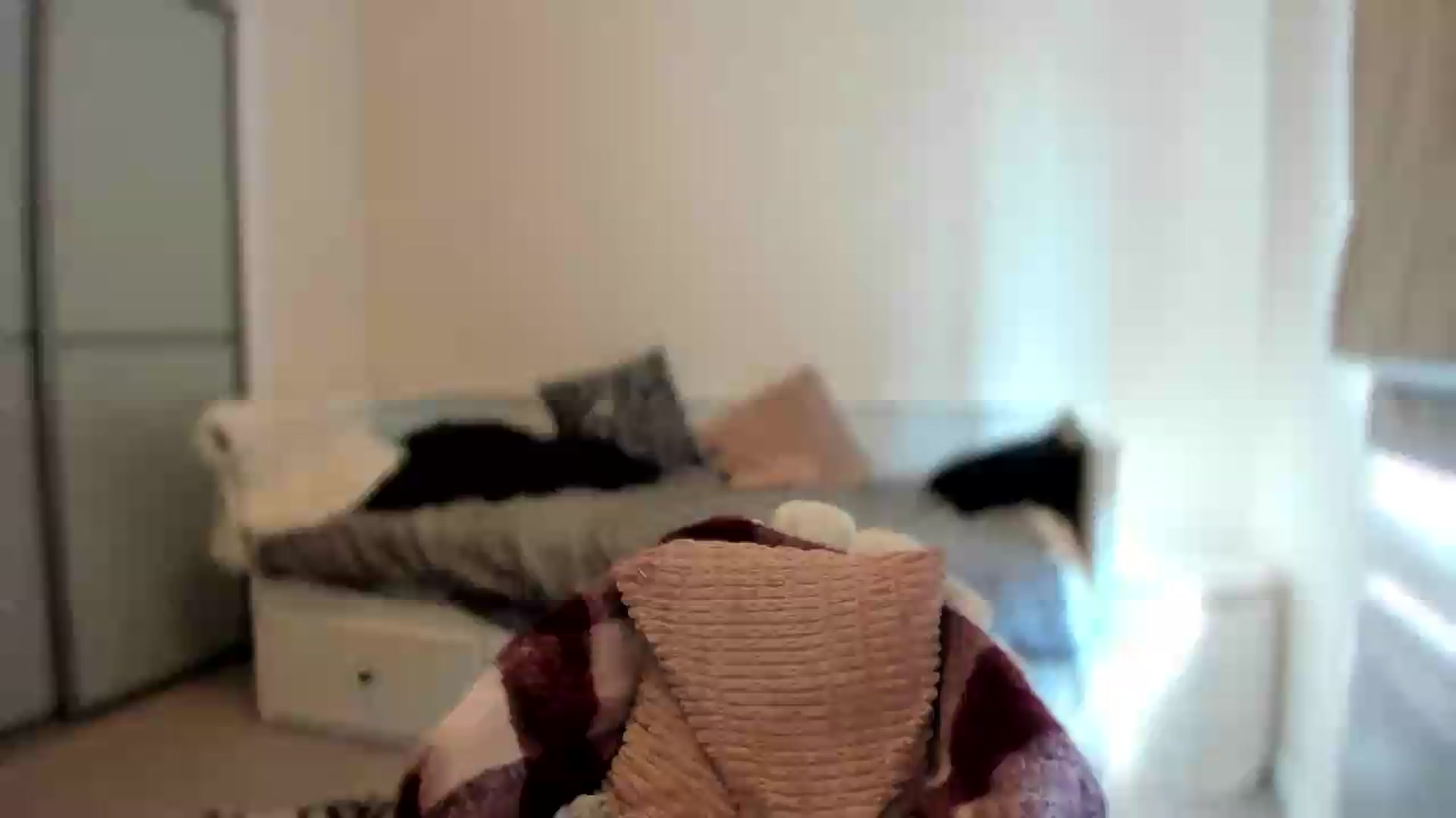 Gallery image thumbnail from pixelatedgirl's myfreecams stream on, 07/18/2026, 15:48 image 15 of 20