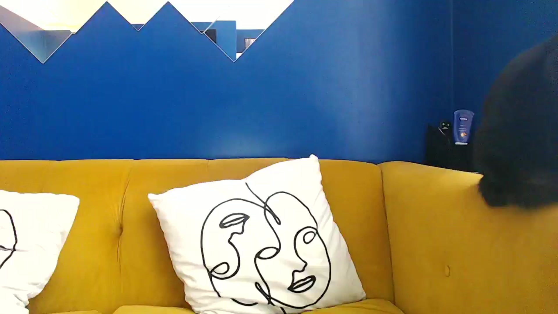 Gallery image thumbnail from pixieDread's myfreecams stream on, 06/11/2025, 12:00 image 2 of 20