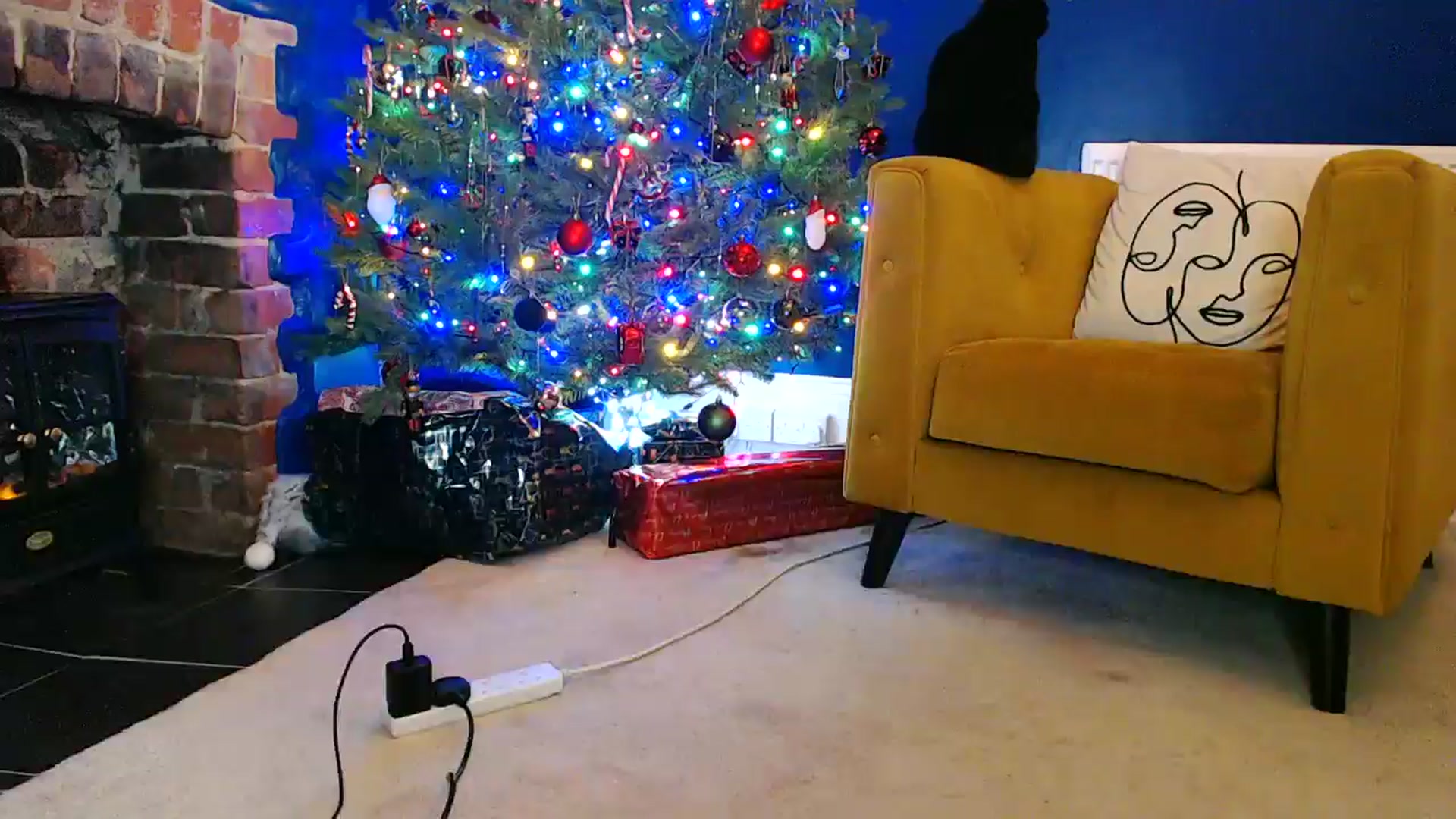 Gallery image thumbnail from pixieDread's myfreecams stream on, 12/24/2025, 19:58 image 19 of 20