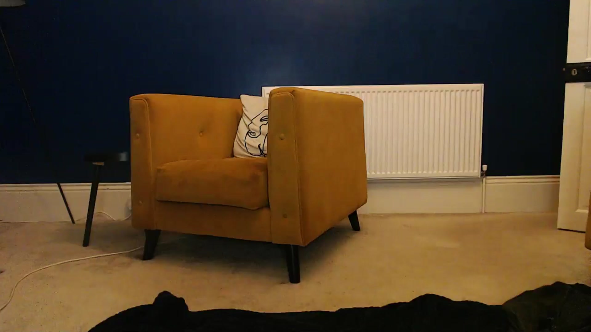 Gallery image thumbnail from pixieDread's myfreecams stream on, 01/11/2026, 23:54 image 16 of 20