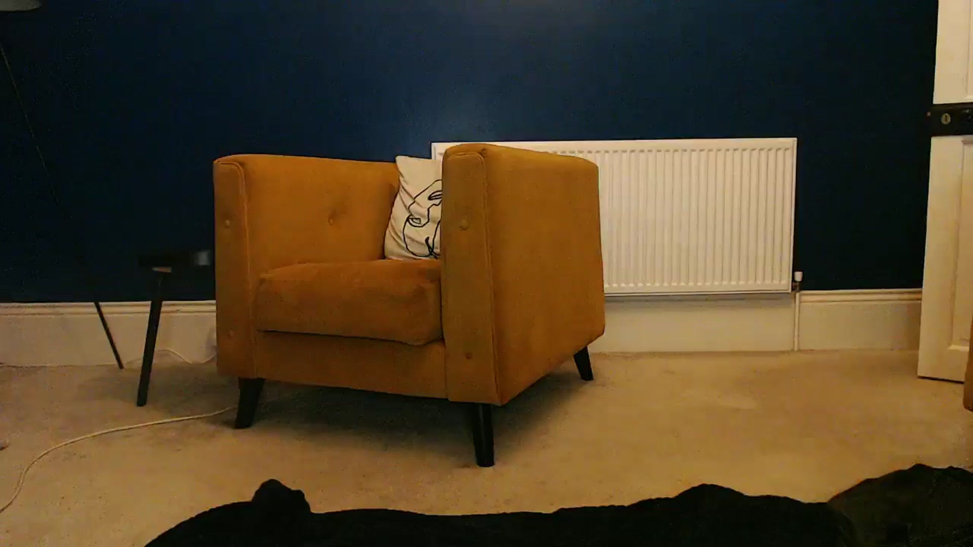 Gallery image thumbnail from pixieDread's myfreecams stream on, 01/11/2026, 23:54 image 15 of 20