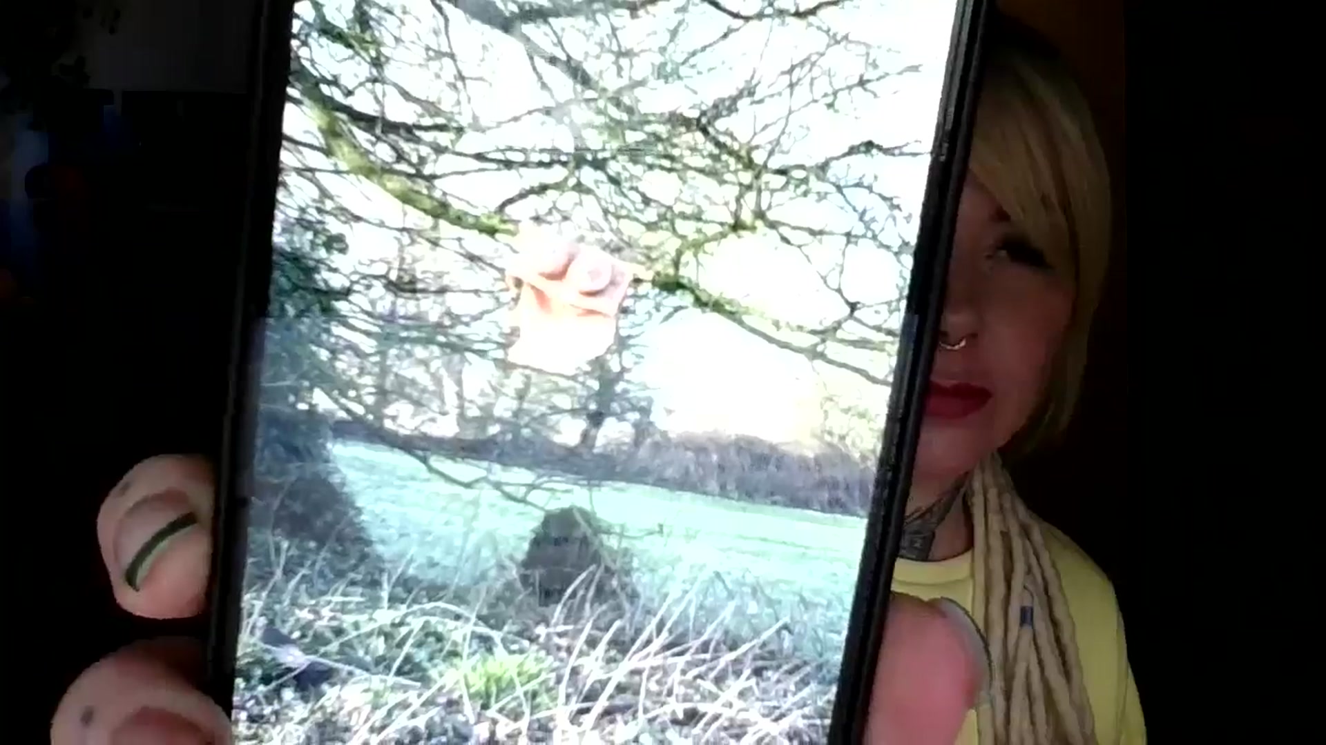 Gallery image thumbnail from pixieDread's myfreecams stream on, 02/01/2026, 14:54 image 4 of 20