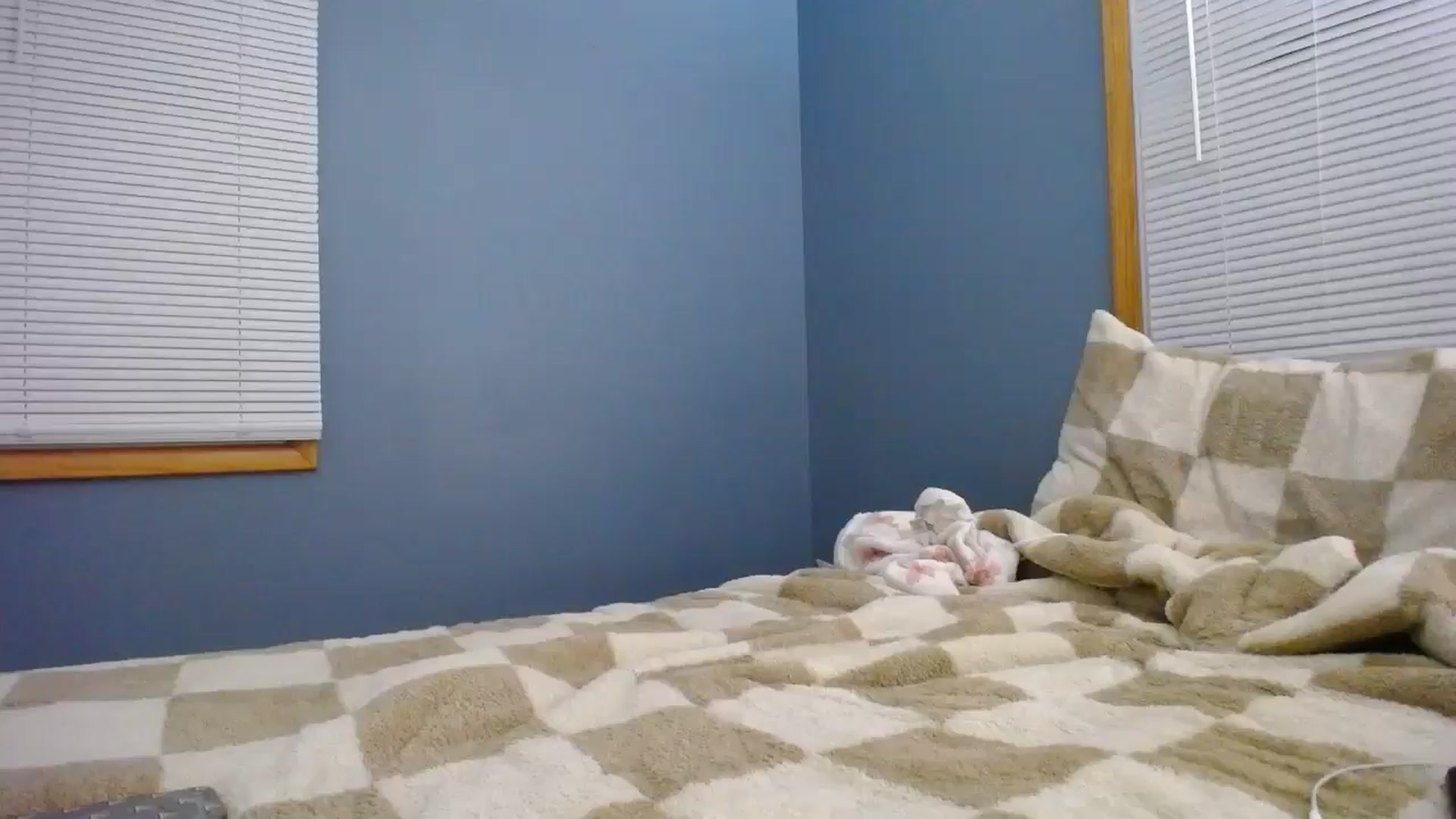 Gallery image thumbnail from playwithlua's myfreecams stream on, 11/20/2024, 04:59 image 7 of 20