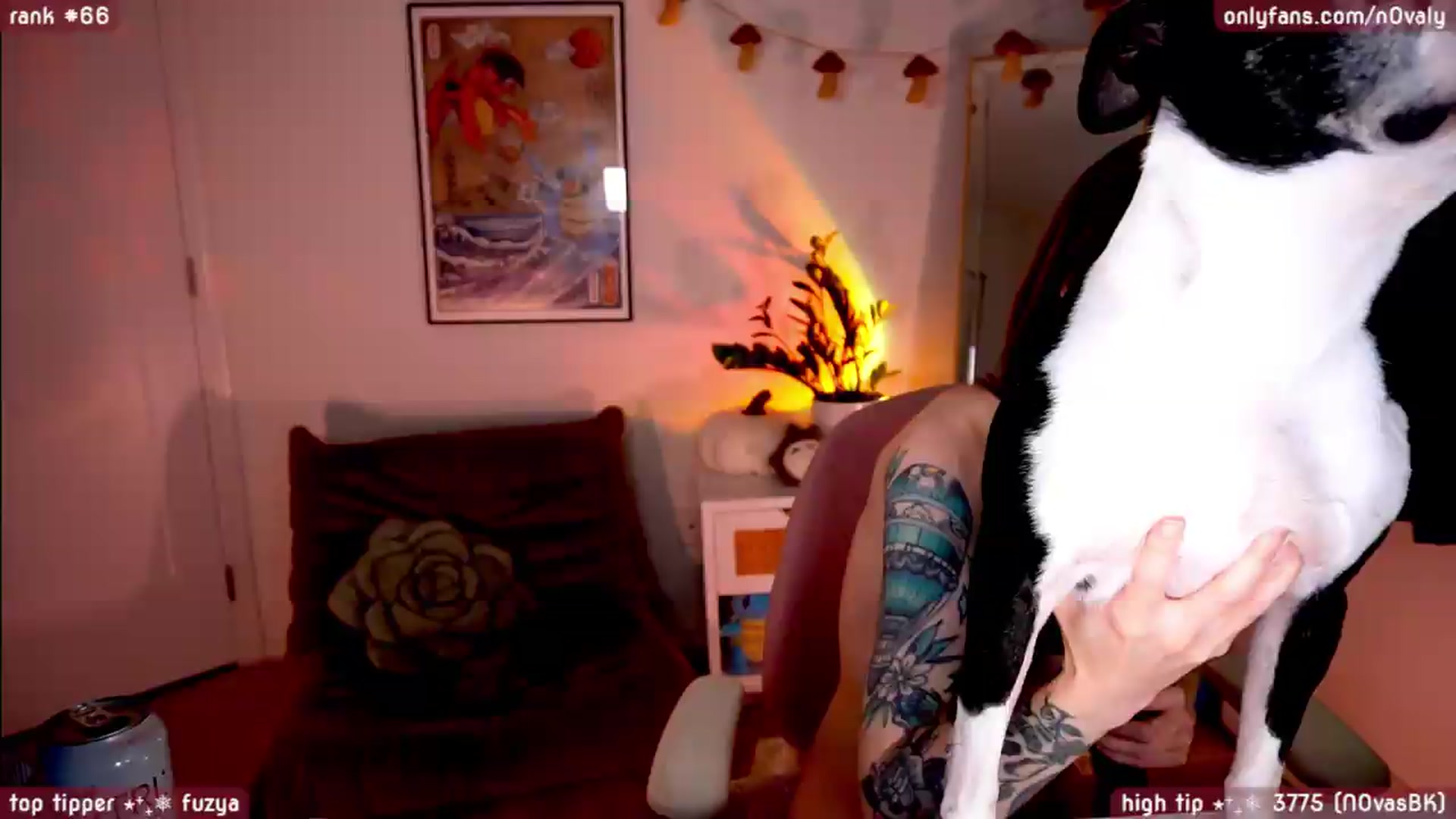 Gallery image thumbnail from poobsgh0sthuntingpal's myfreecams stream on, 05/08/2026, 09:35 image 13 of 20