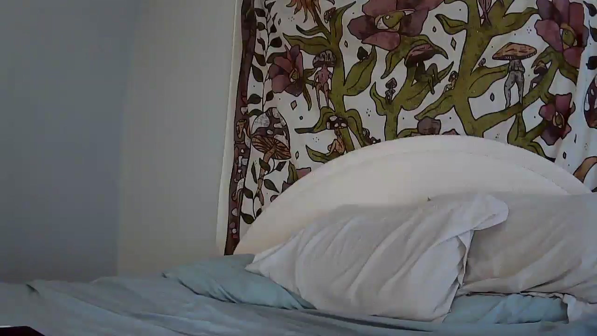 Gallery image thumbnail from pr1ncessbelle's myfreecams stream on, 04/26/2025, 23:36 image 16 of 20