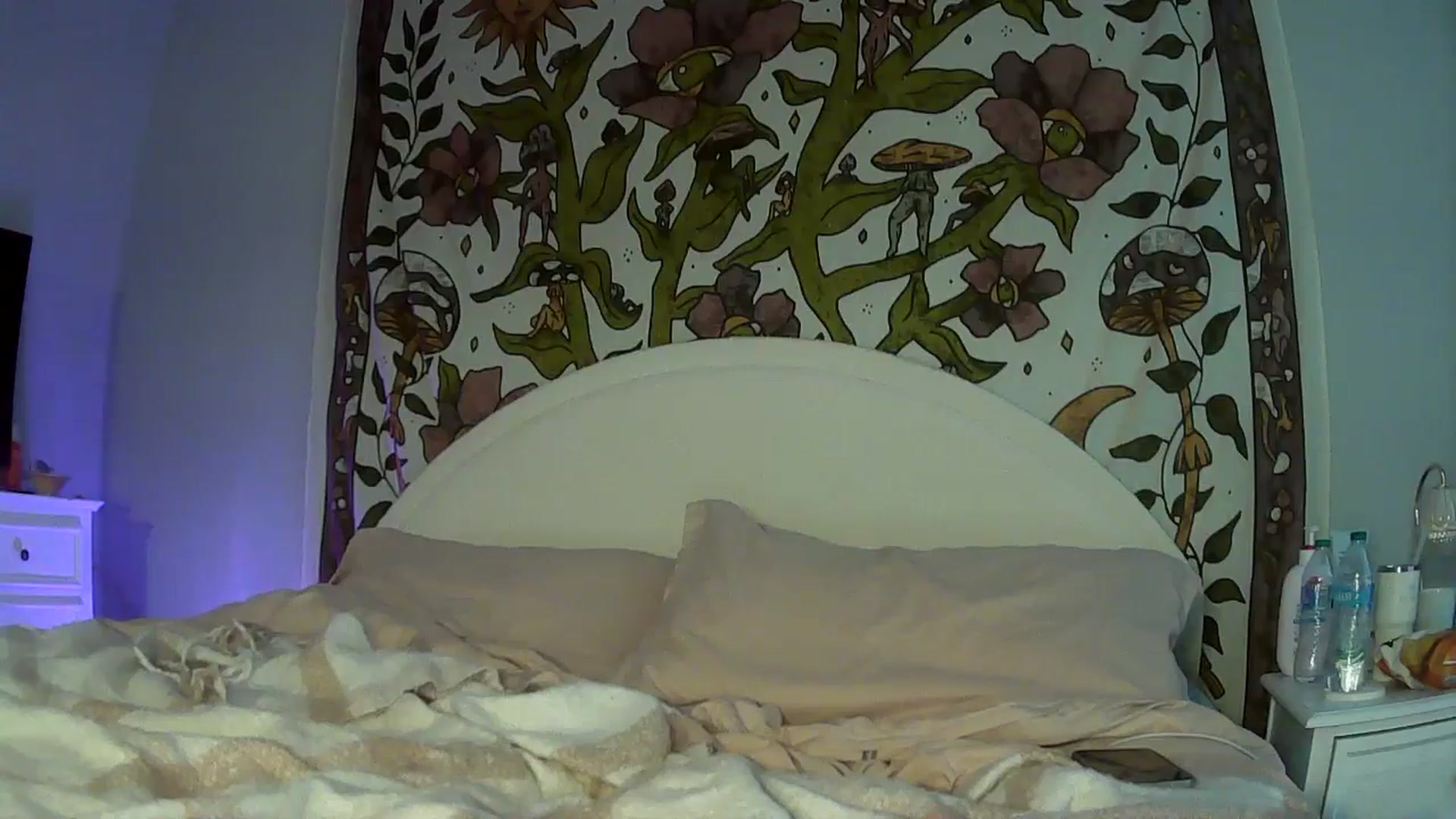 Gallery image thumbnail from pr1ncessbelle's myfreecams stream on, 11/27/2025, 04:25 image 8 of 20