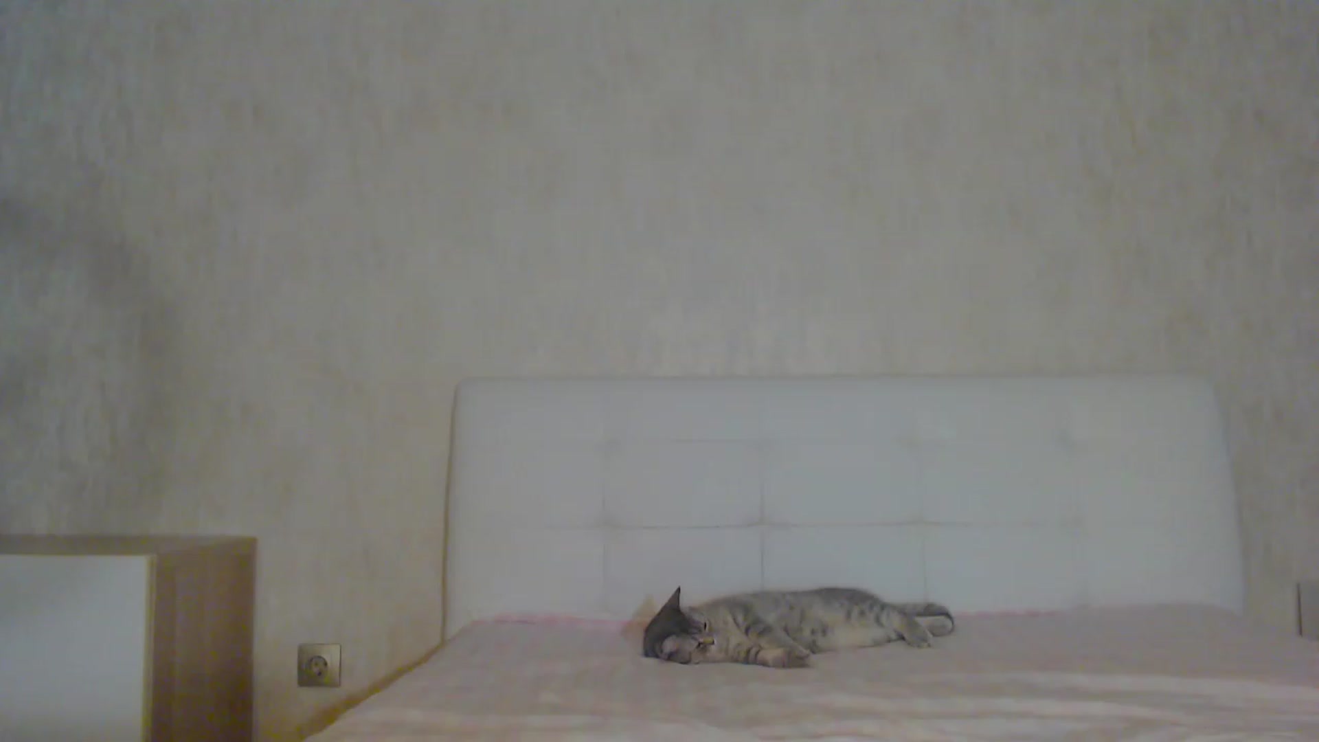 Gallery image thumbnail from pretty_maya_'s myfreecams stream on, 03/18/2023, 16:59 image 1 of 20