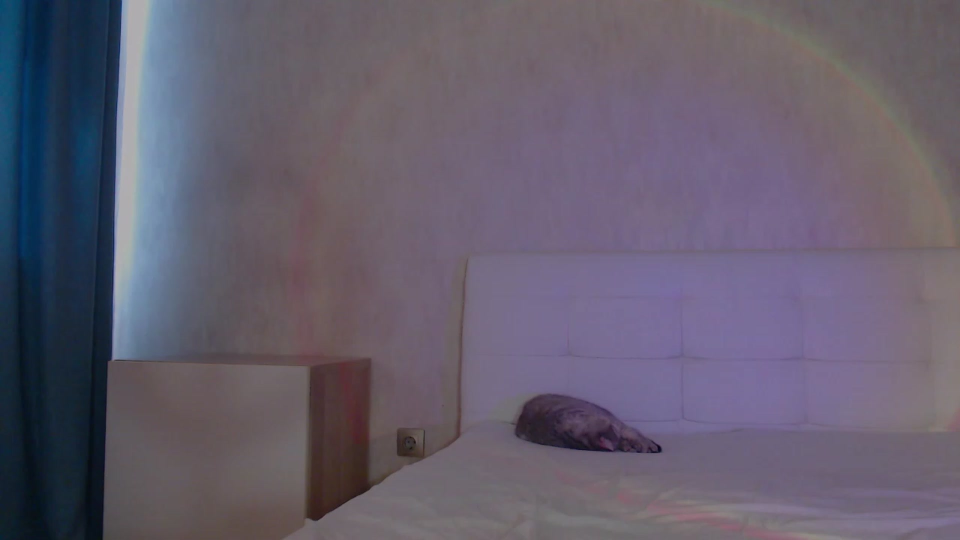 Gallery image thumbnail from pretty_maya_'s myfreecams stream on, 04/19/2023, 09:08 image 5 of 20