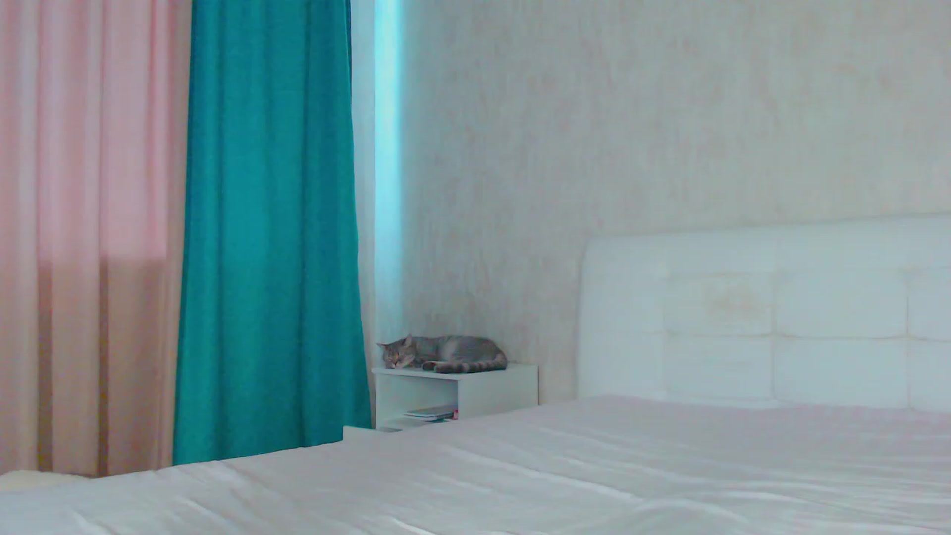 Gallery image thumbnail from pretty_maya_'s myfreecams stream on, 08/14/2023, 12:28 image 9 of 20