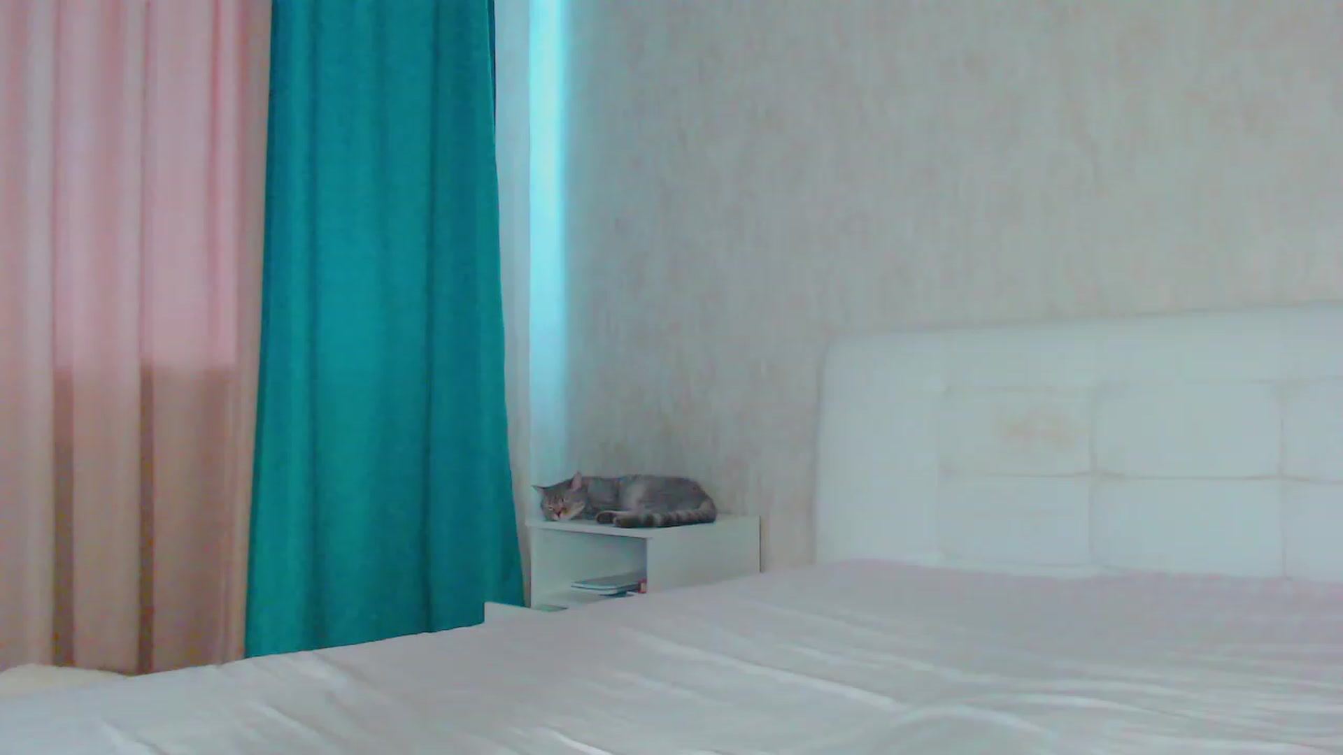 Gallery image thumbnail from pretty_maya_'s myfreecams stream on, 08/14/2023, 12:28 image 8 of 20