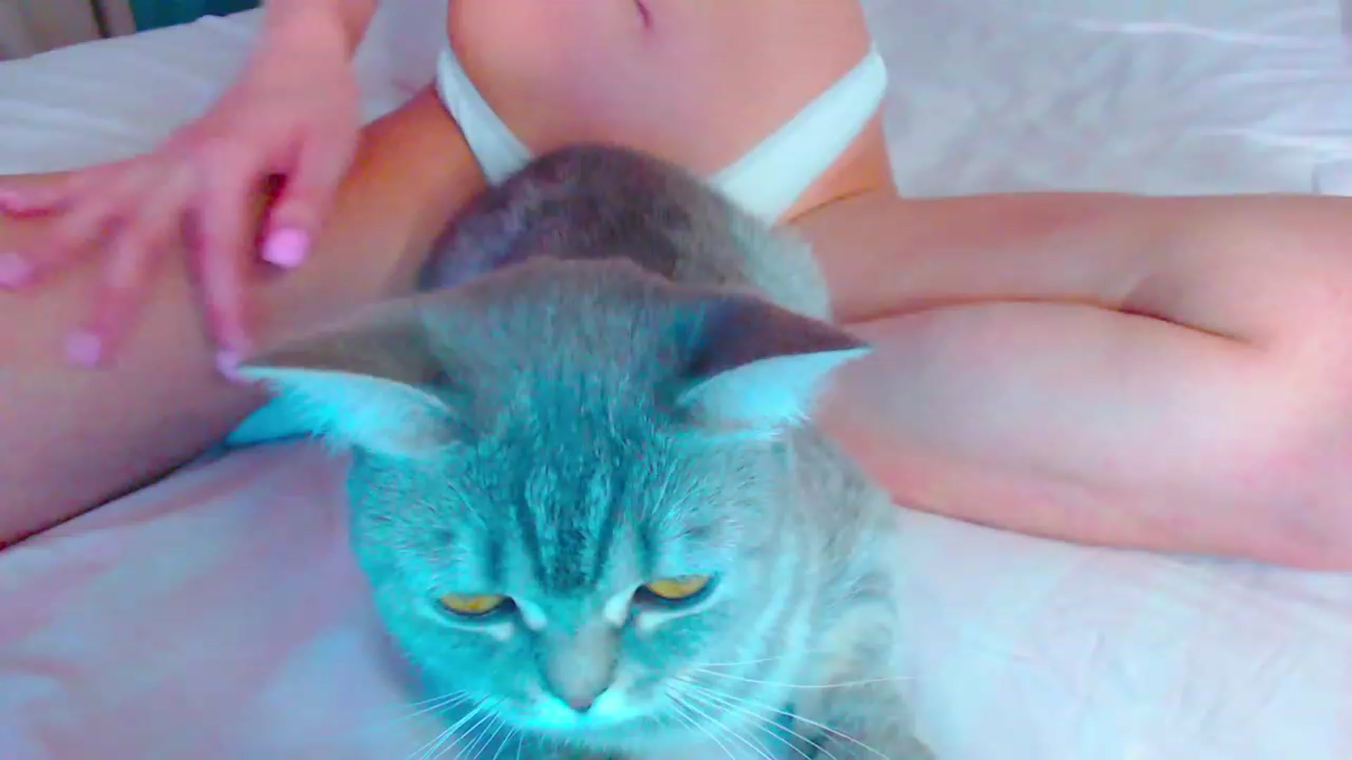 Gallery image thumbnail from pretty_maya_'s myfreecams stream on, 08/25/2023, 14:21 image 5 of 20