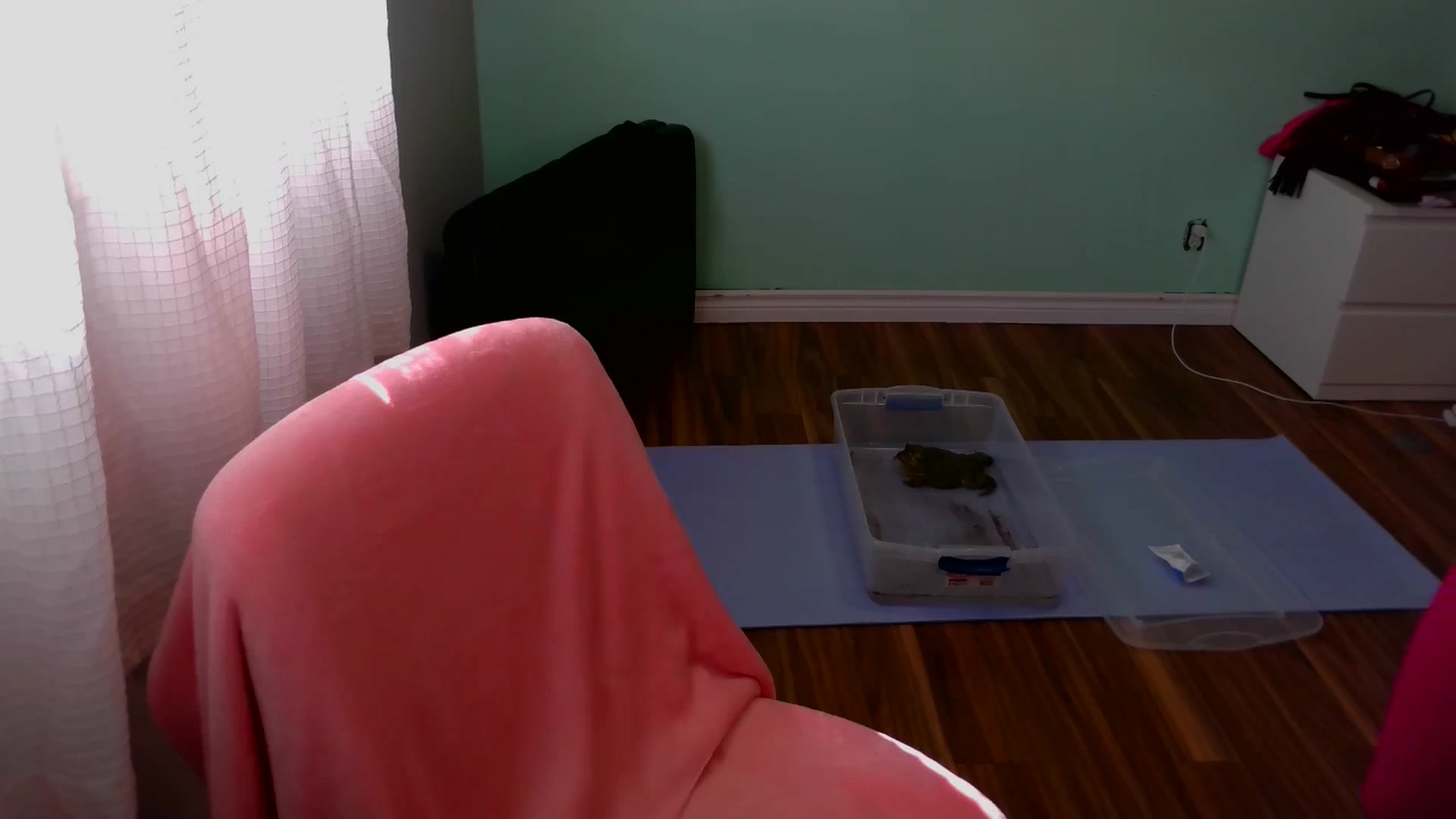 Gallery image thumbnail from puddinbunz69's myfreecams stream on, 03/22/2025, 19:29 image 6 of 20