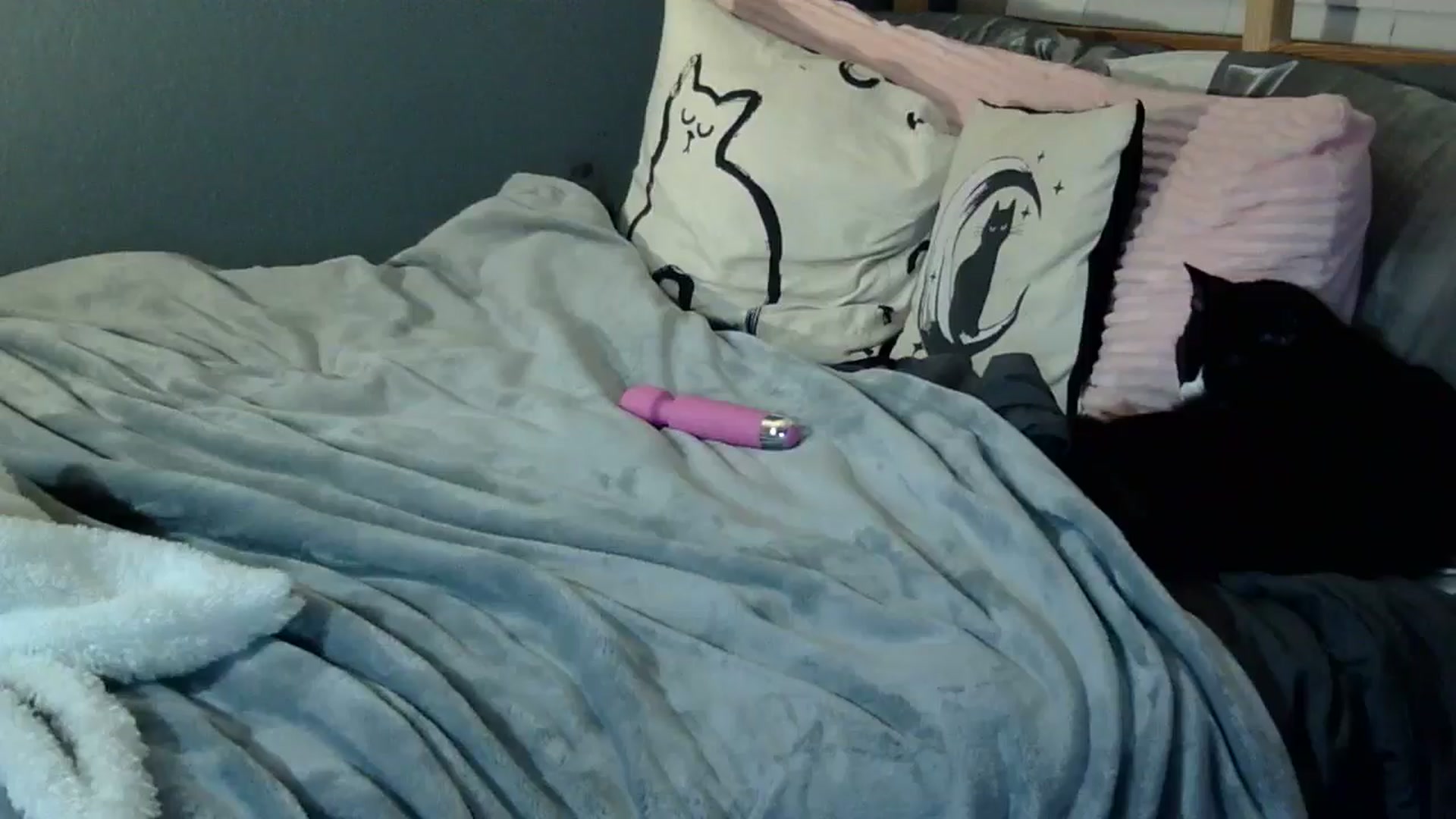 Gallery image thumbnail from realangel's myfreecams stream on, 09/03/2024, 05:26 image 14 of 20